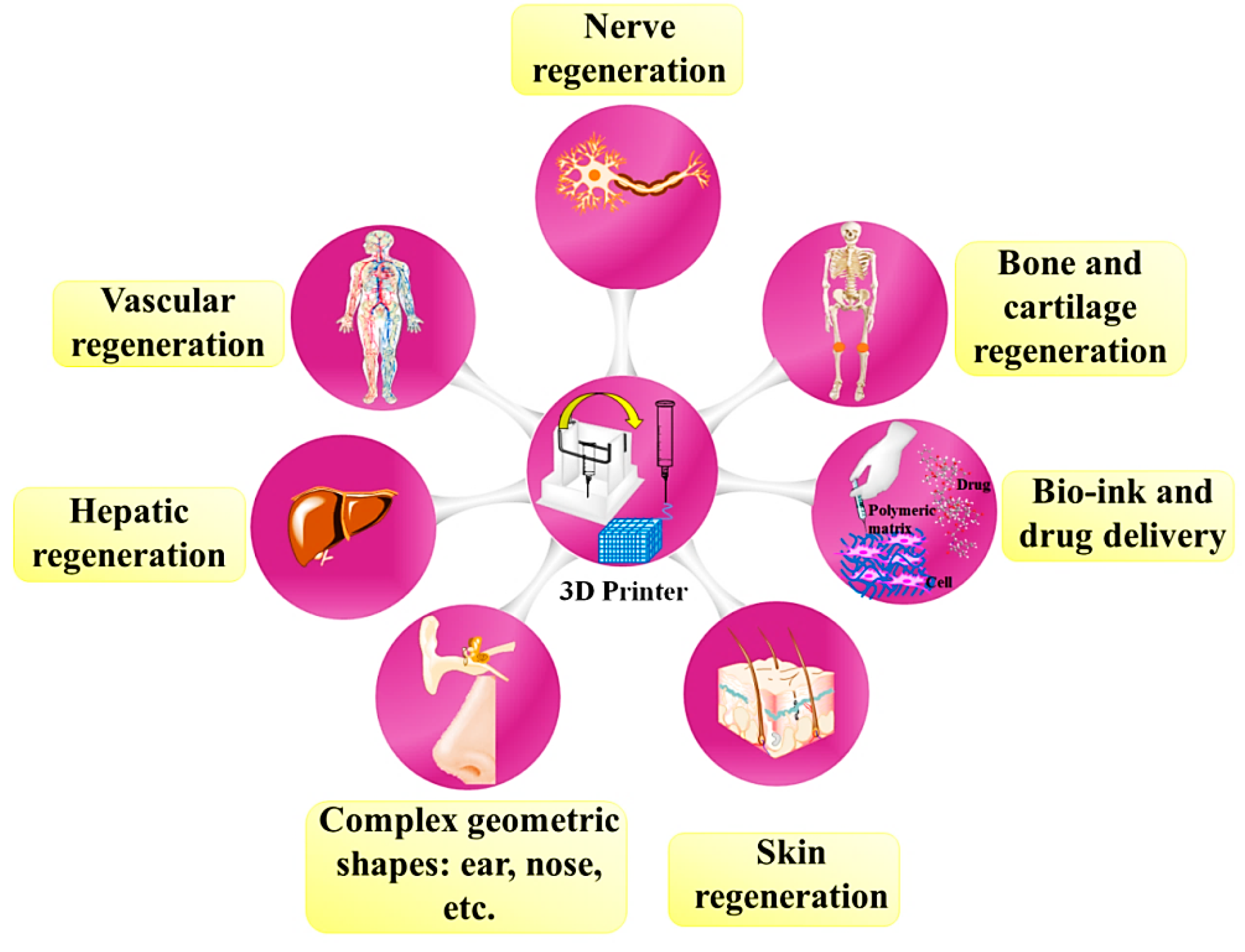 Materials 13 02663 g003 Materials 13 02663 g003