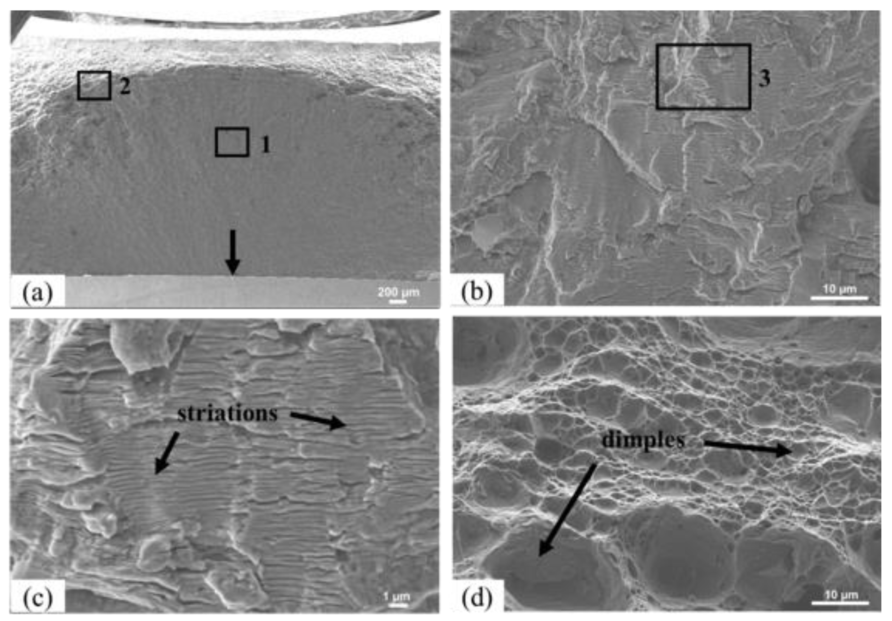 Materials 13 02664 g016