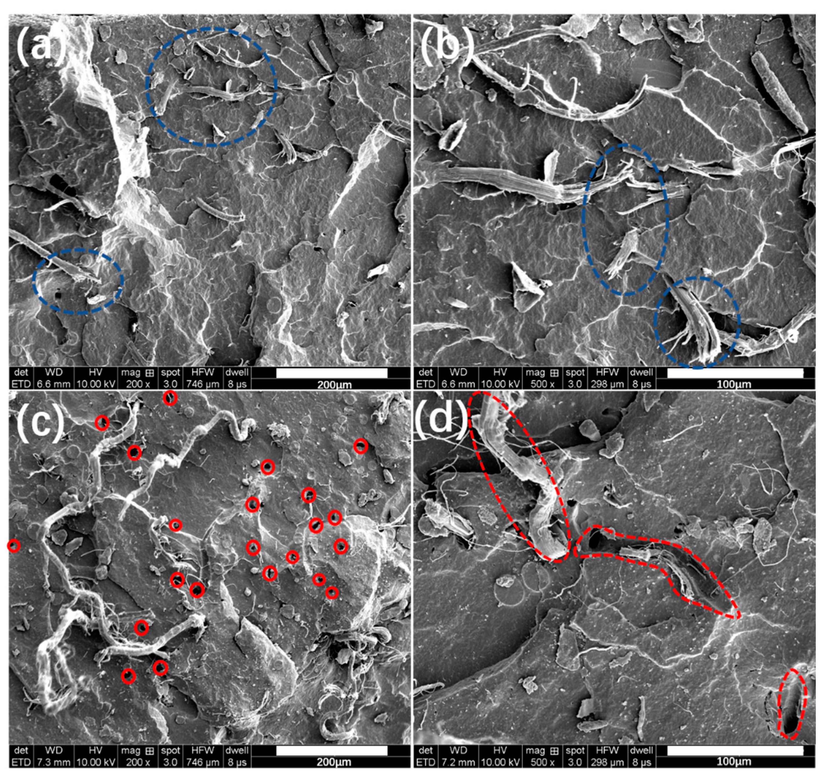 Materials 13 02665 g007 Materials 13 02665 g007
