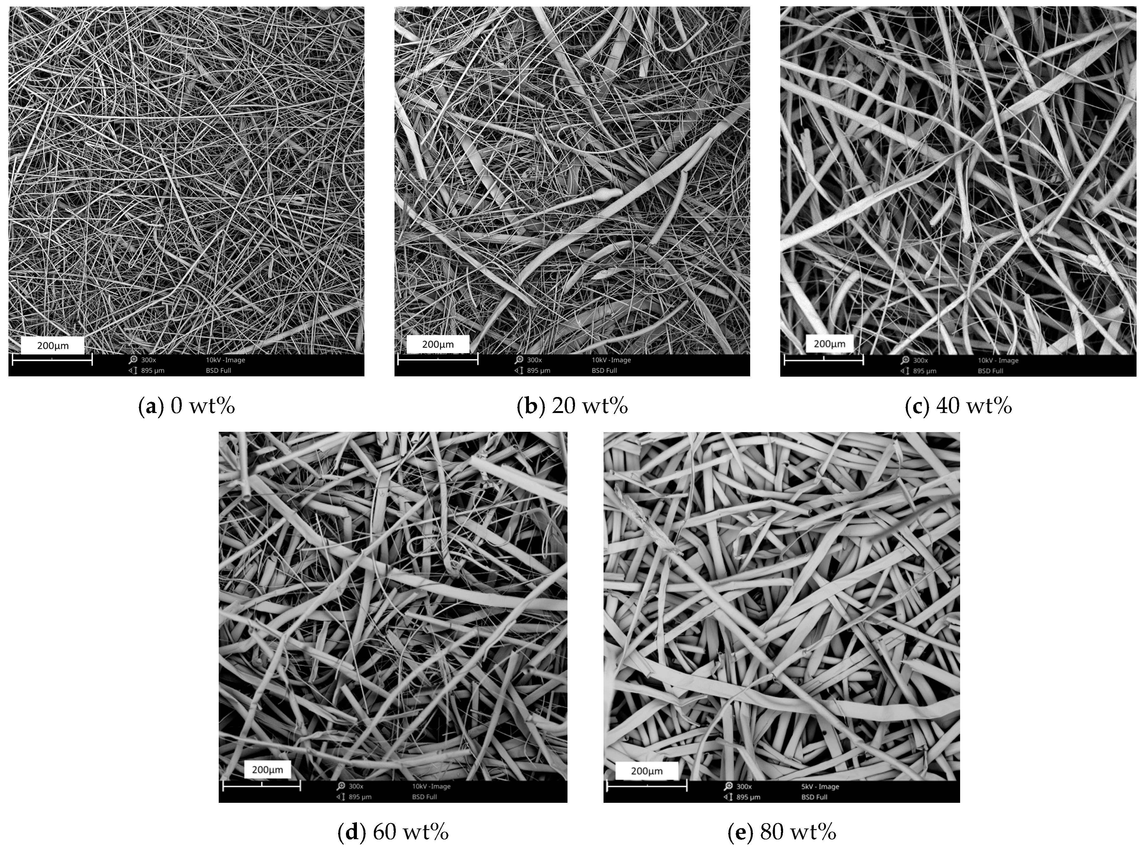 Materials 13 02667 g006