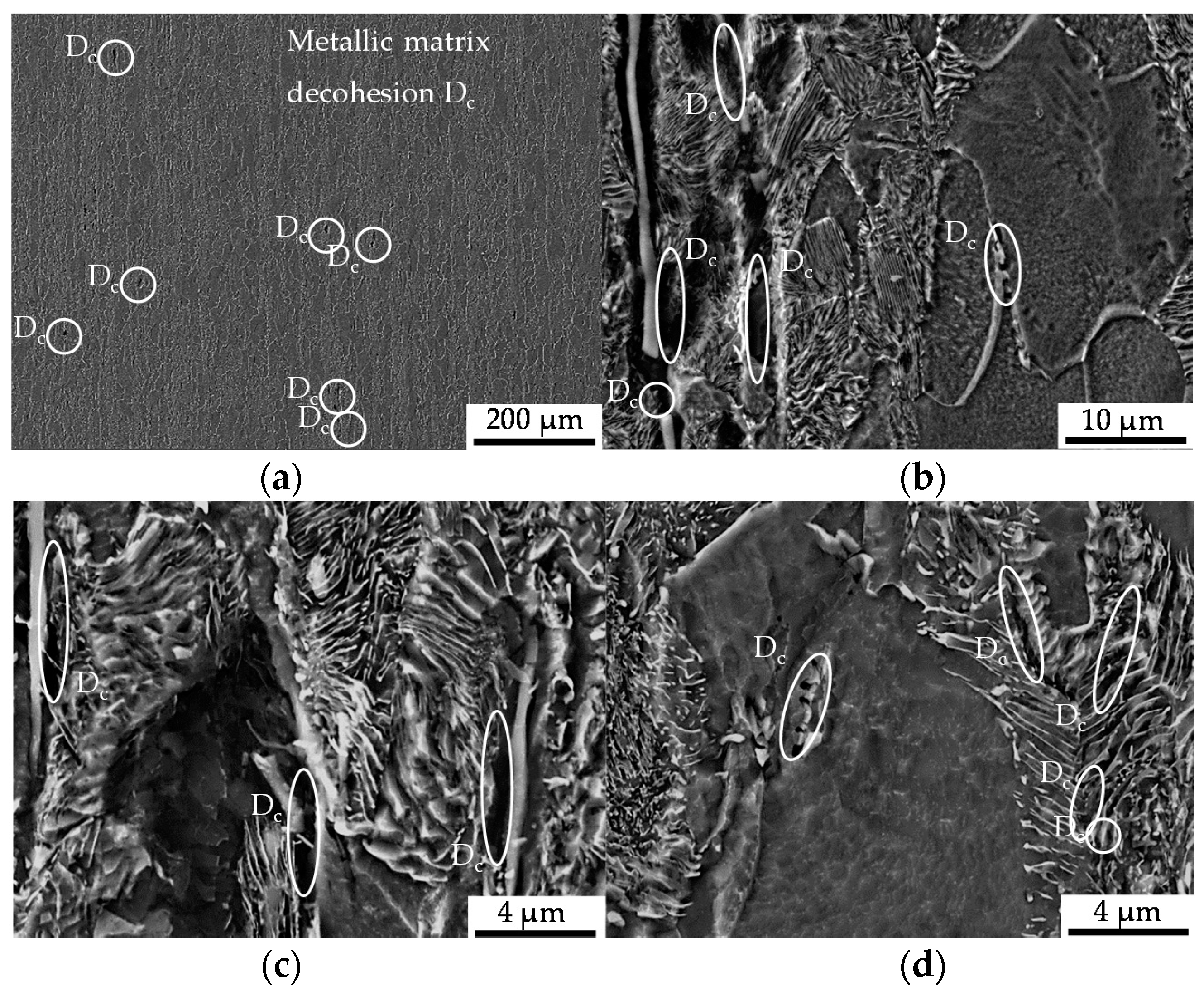 Materials 13 02680 g007