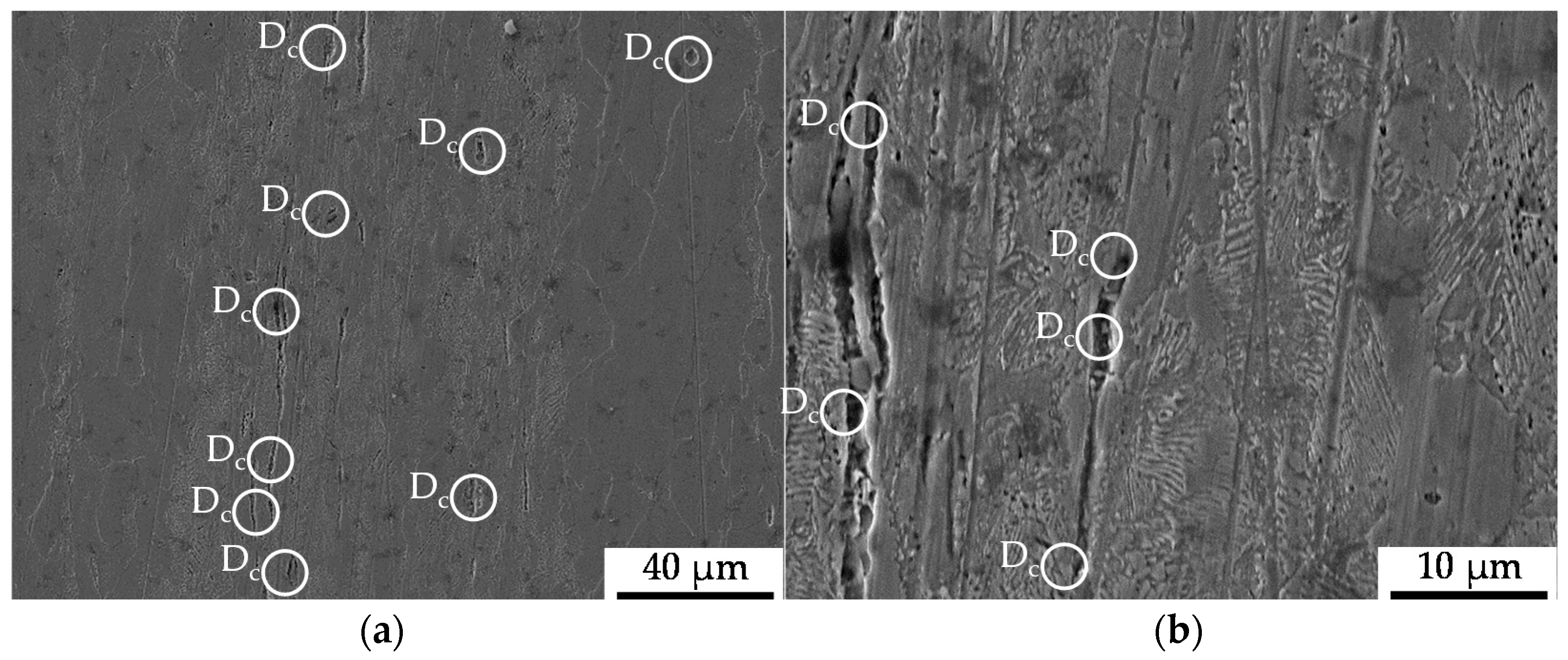 Materials 13 02680 g010