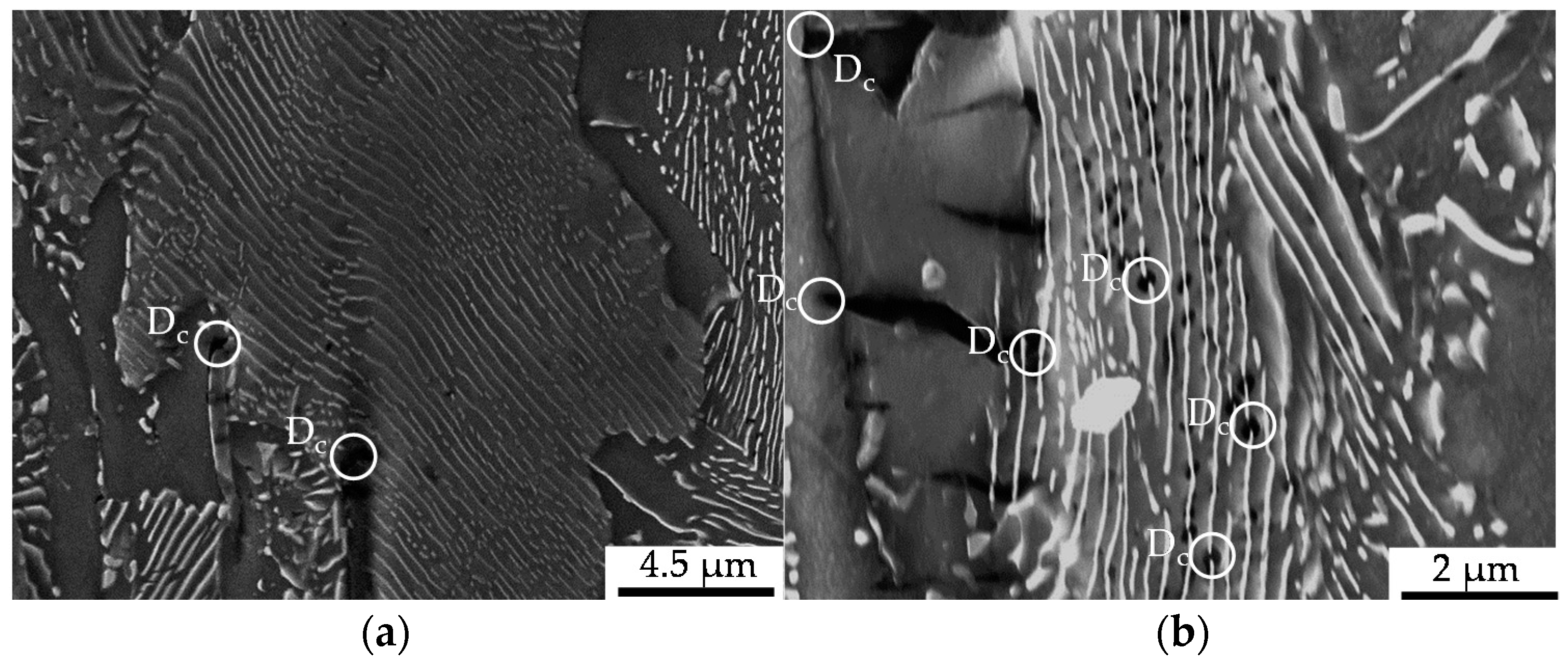 Materials 13 02680 g012