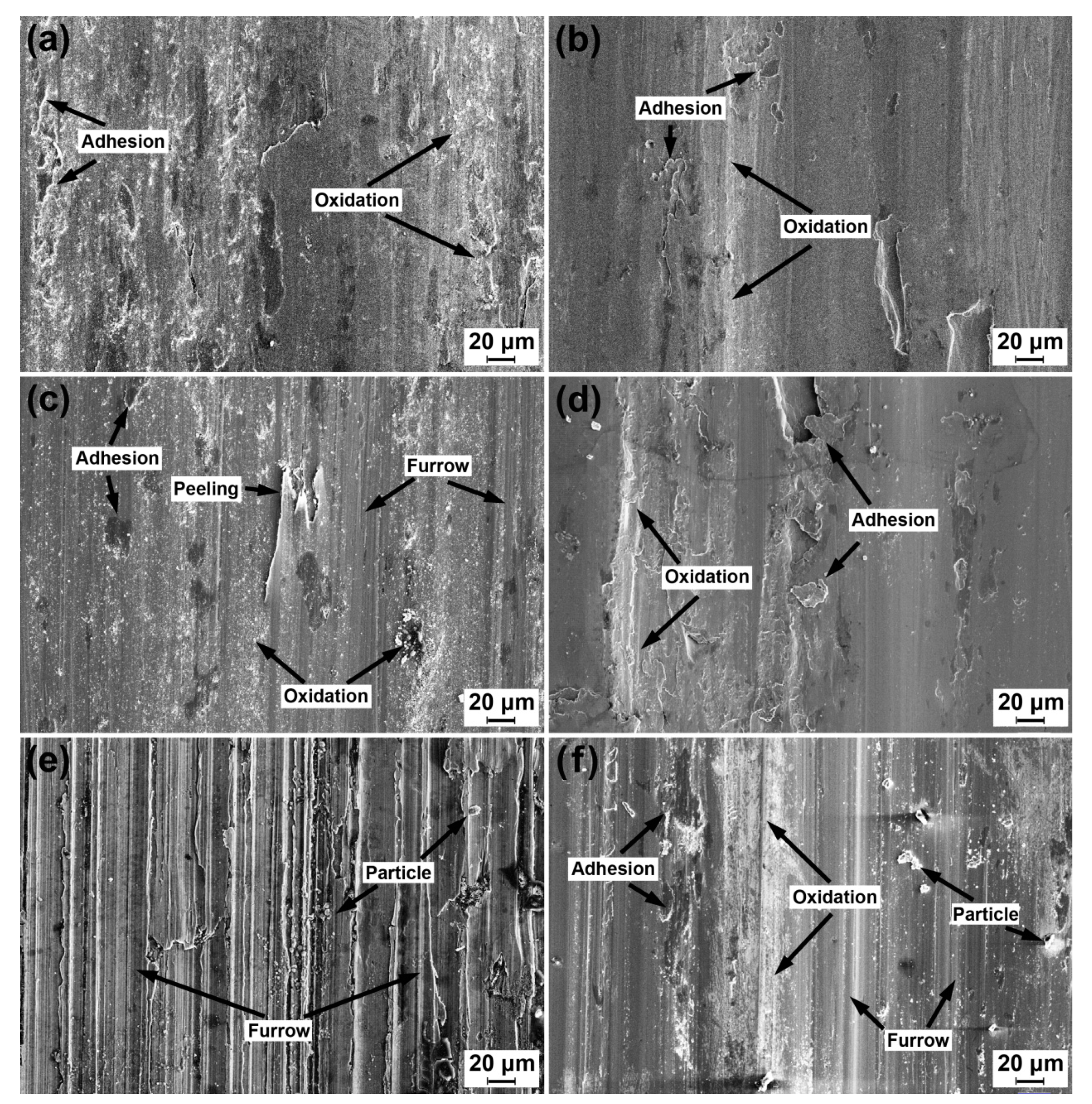 Materials 13 02683 g006