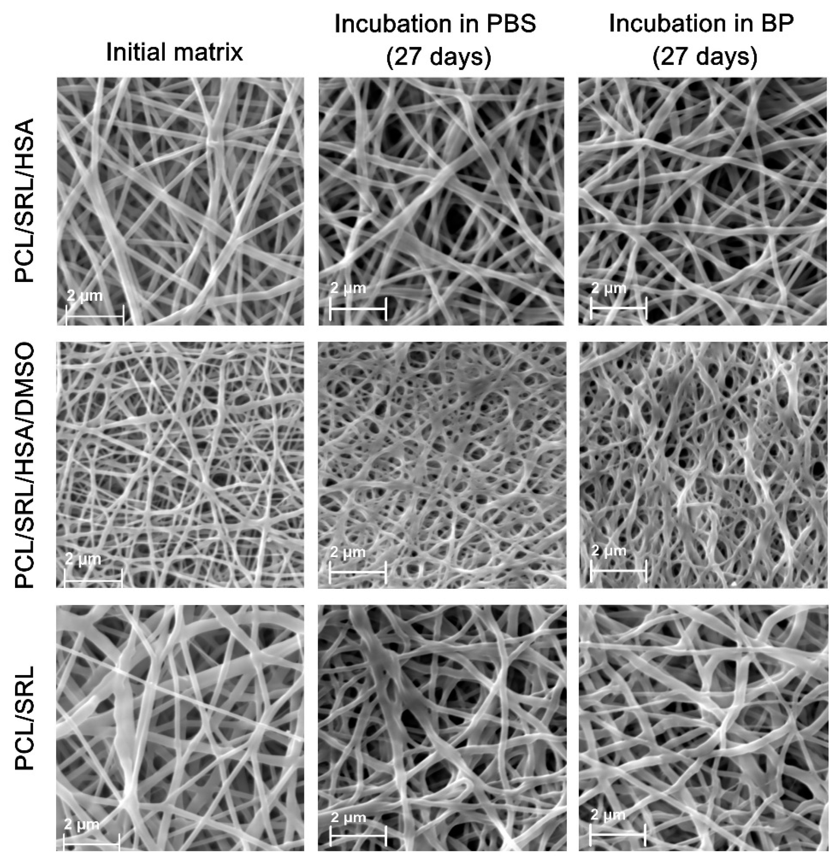 Materials 13 02692 g001 Materials 13 02692 g001