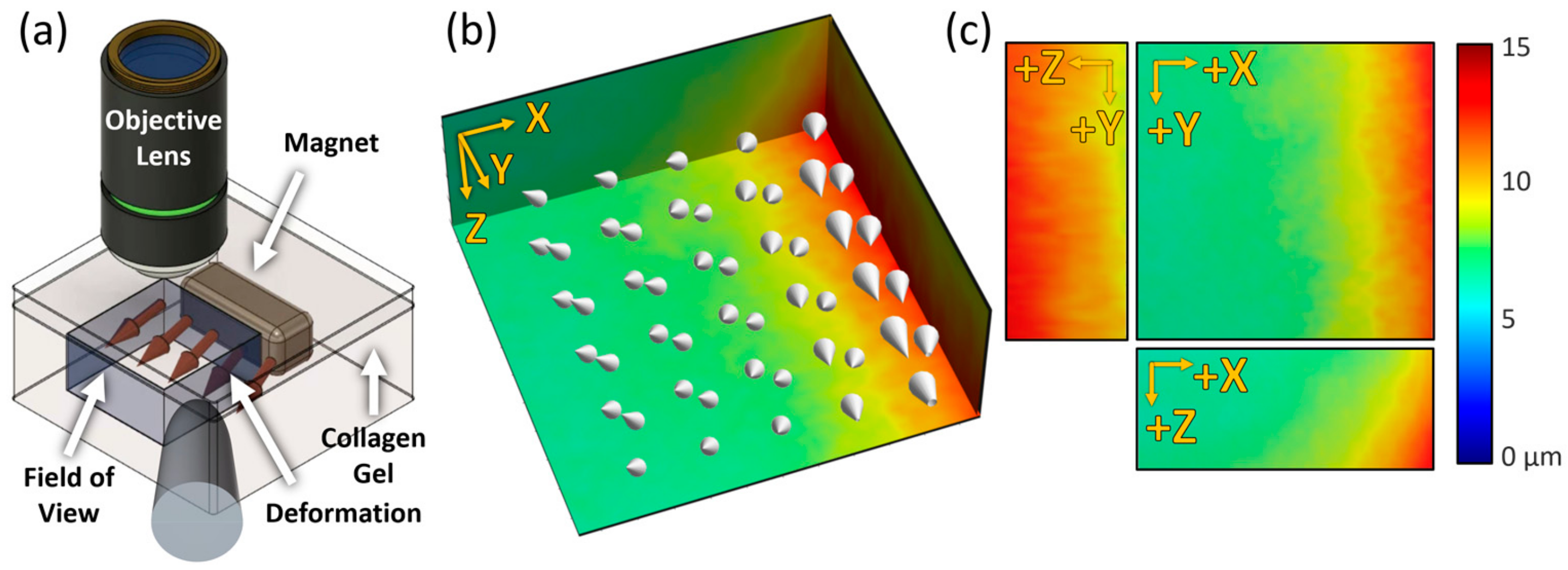 Materials 13 02693 g004 Materials 13 02693 g004