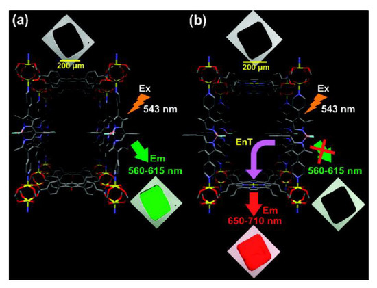 Coordination Polymers Based on Highly Emissive Ligands