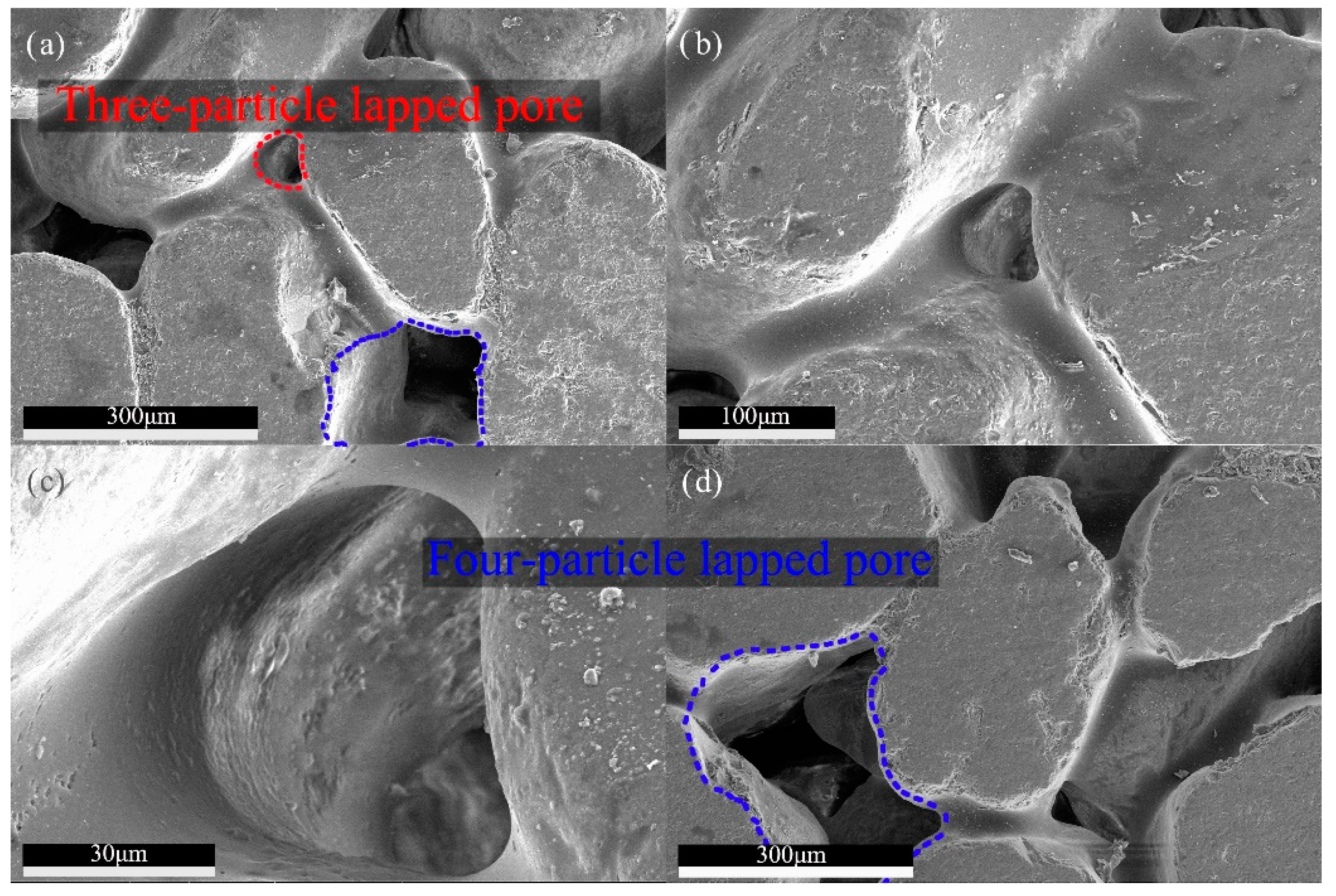 Materials 13 02701 g019