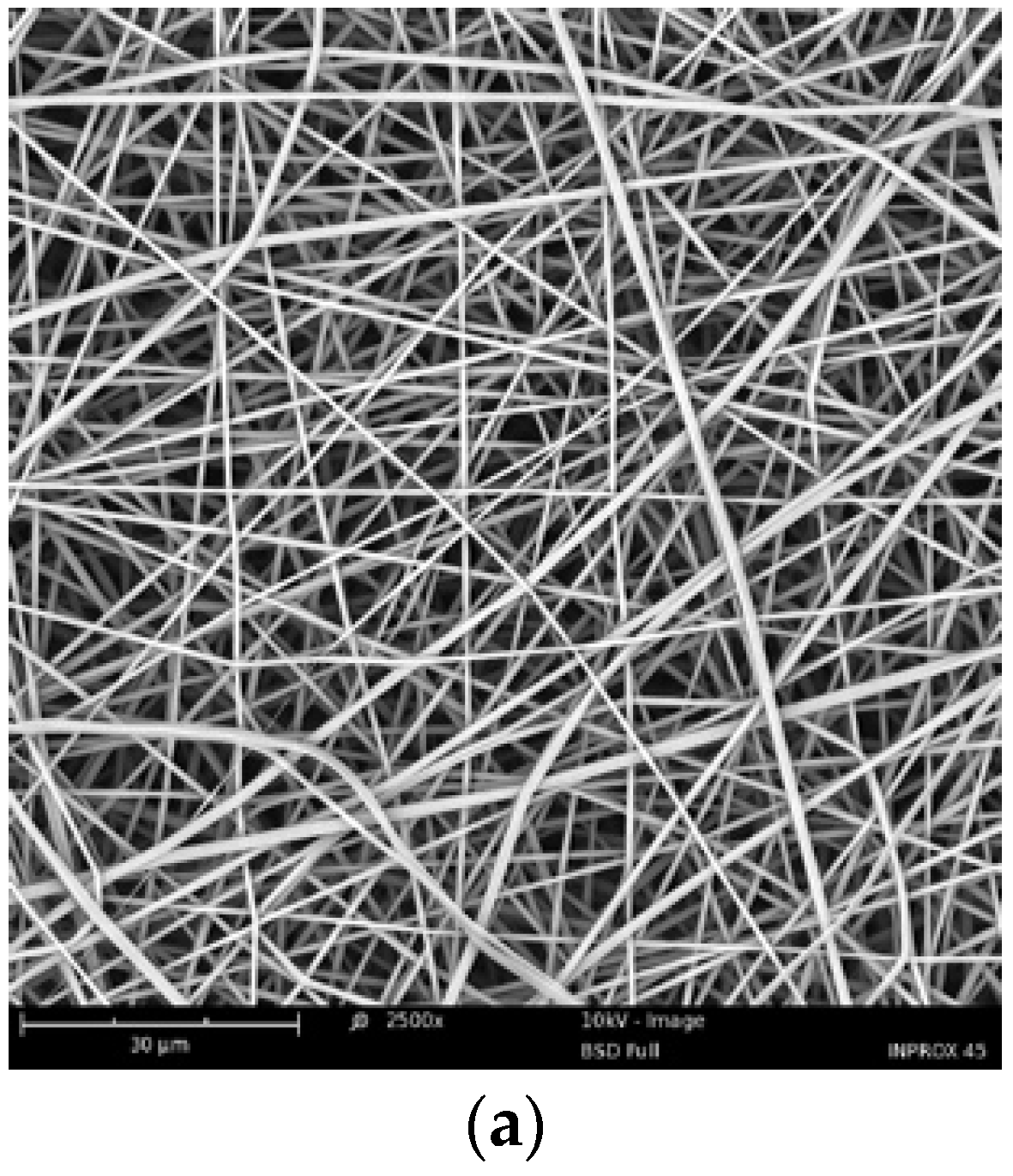 Materials 13 02702 g002a