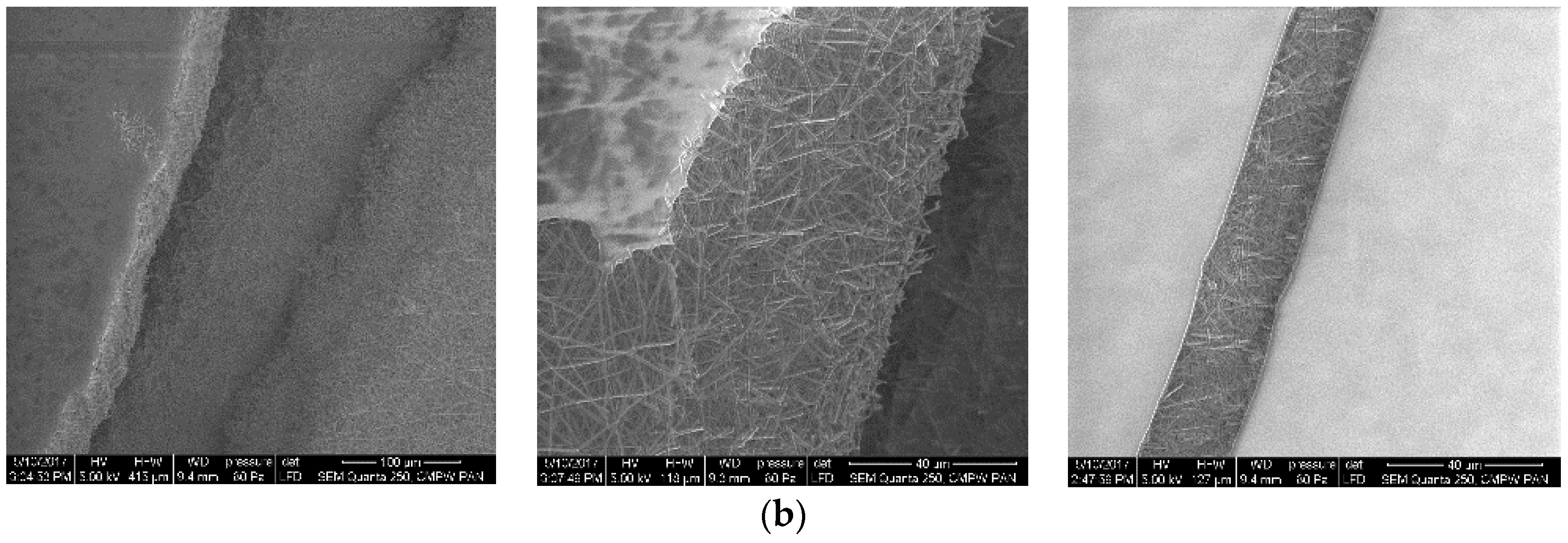 Materials 13 02702 g002b