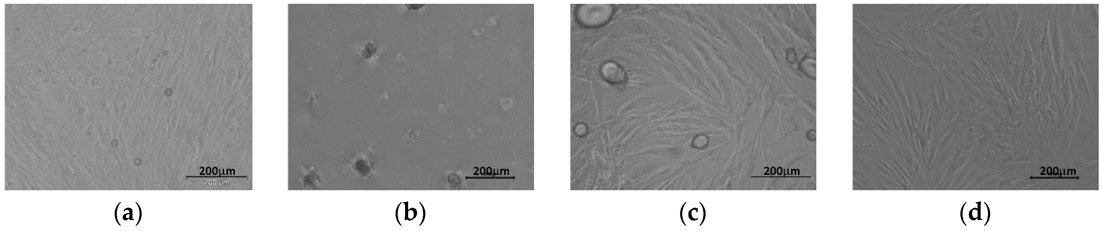 Materials 13 02702 g007