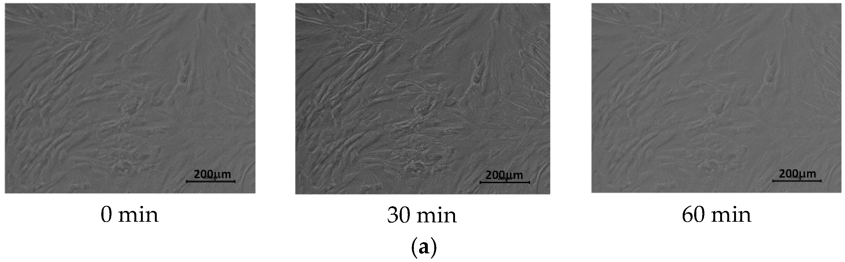 Materials 13 02702 g008a