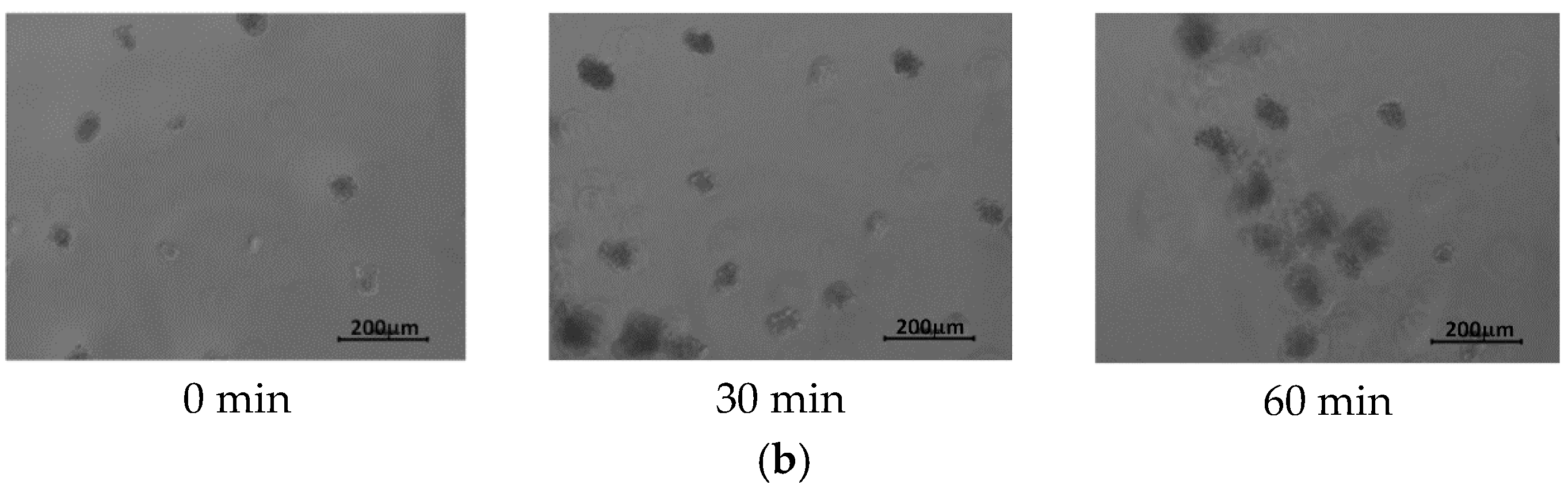 Materials 13 02702 g008b