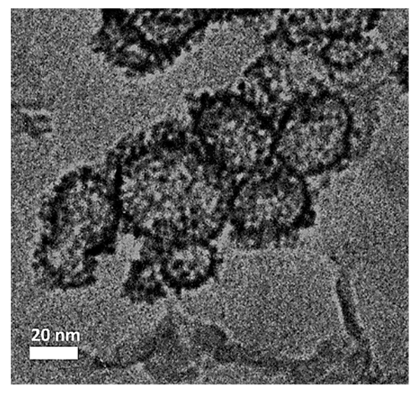 Materials 13 02703 g006 Materials 13 02703 g006