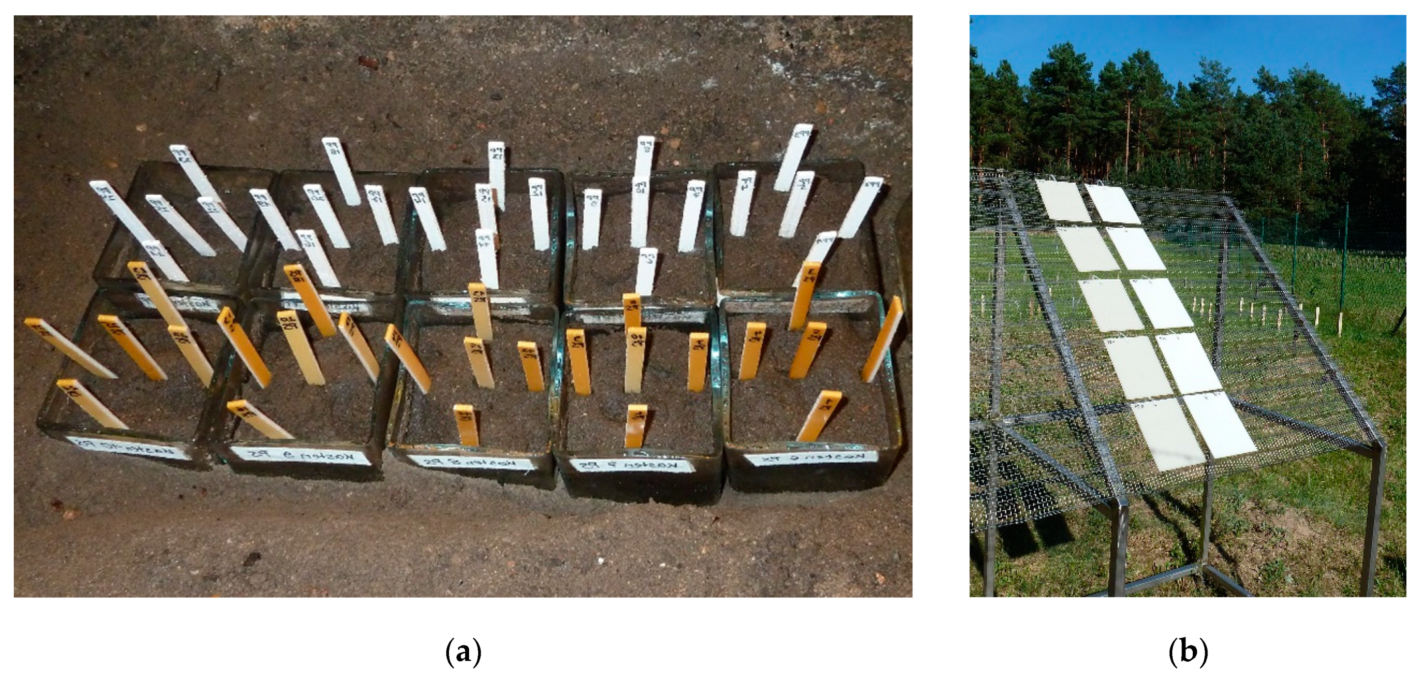 Materials 13 02709 g007 Materials 13 02709 g007