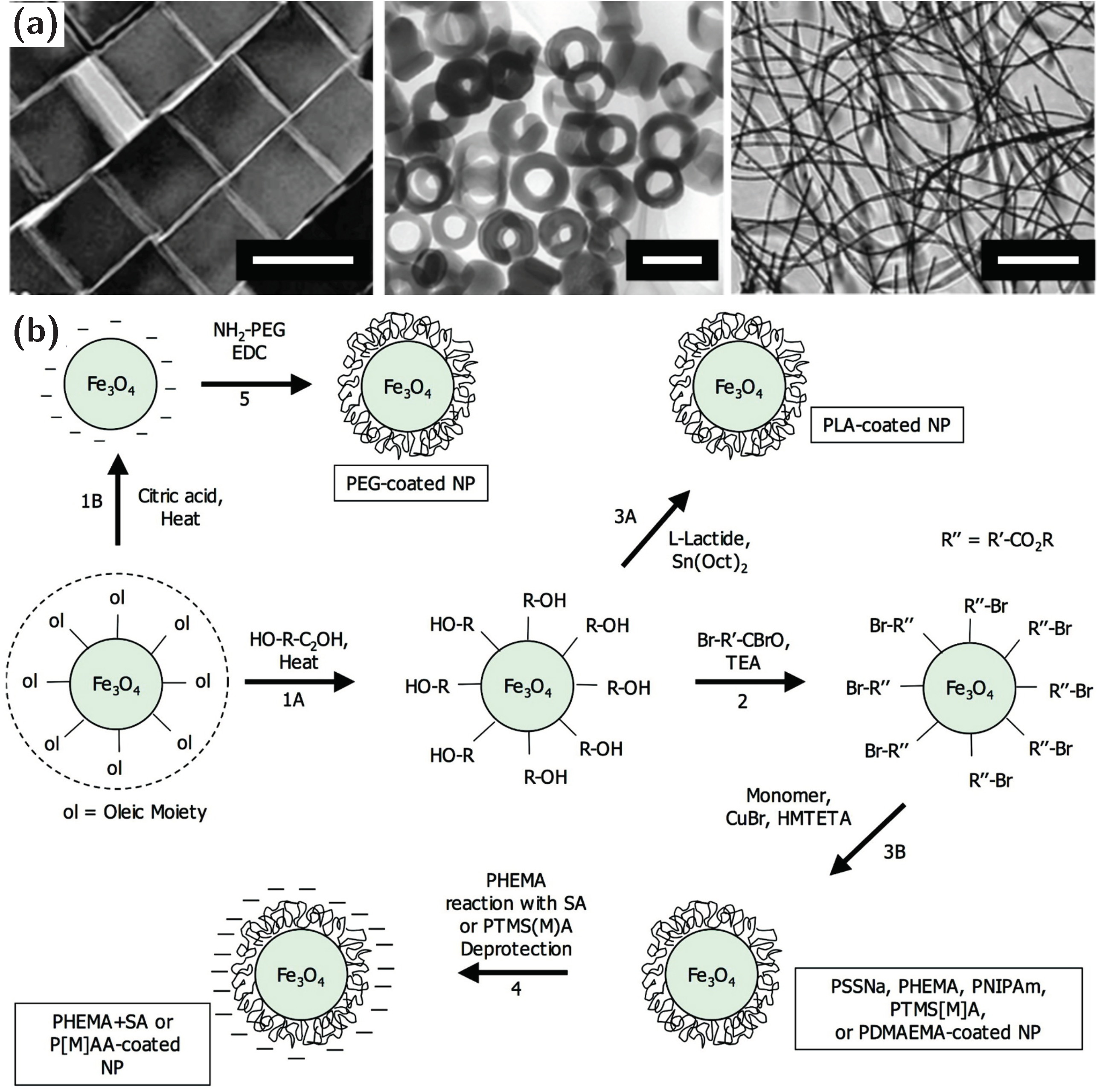 Materials 13 02712 g003