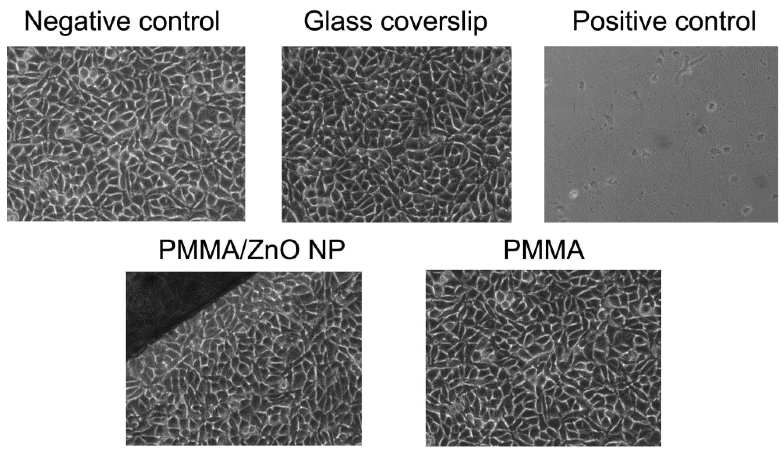 Materials 13 02717 g007 Materials 13 02717 g007