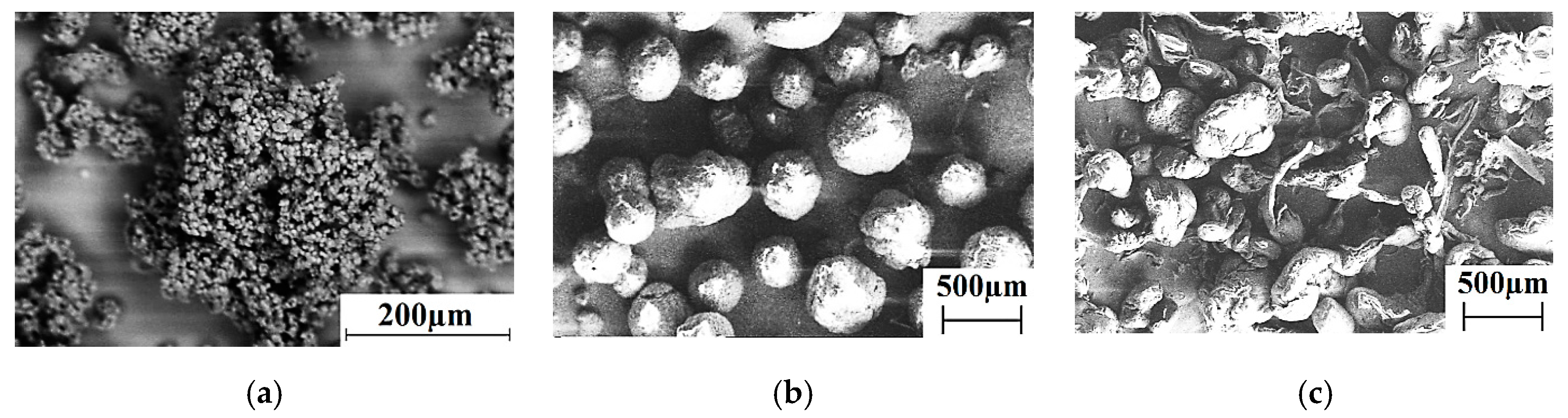 Materials 13 02718 g001