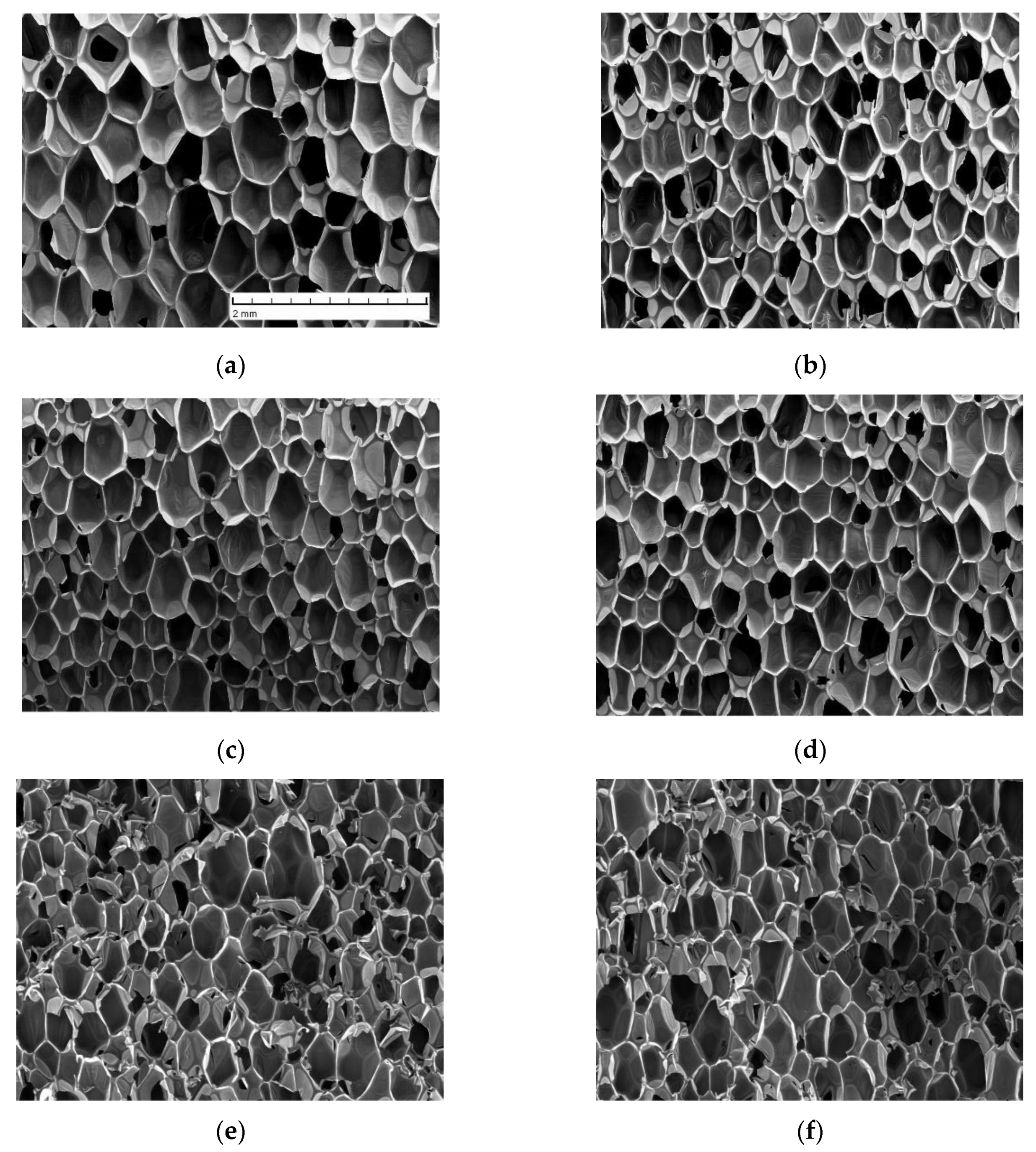 Materials 13 02725 g001 Materials 13 02725 g001