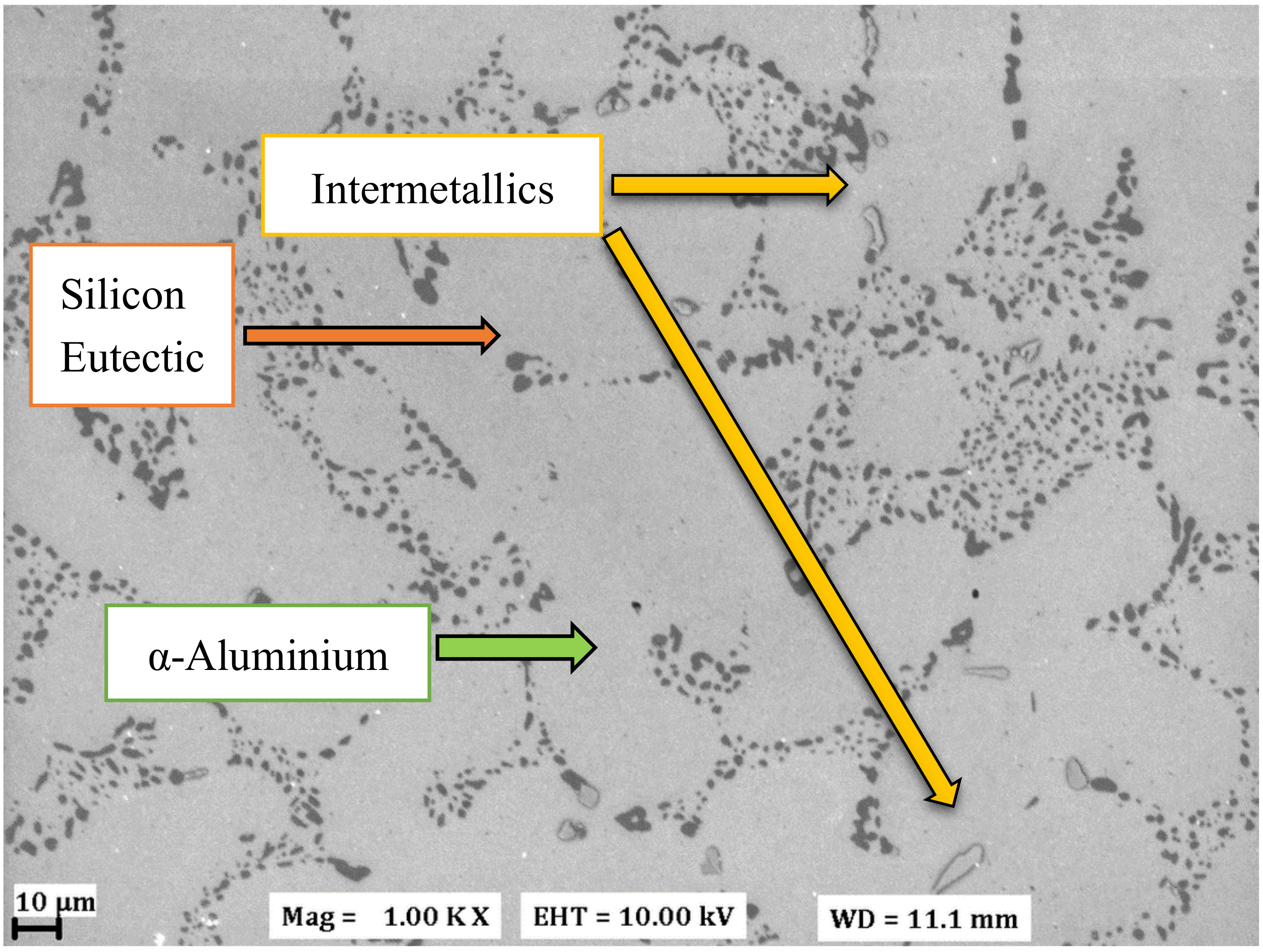 Materials 13 02727 g001 Materials 13 02727 g001