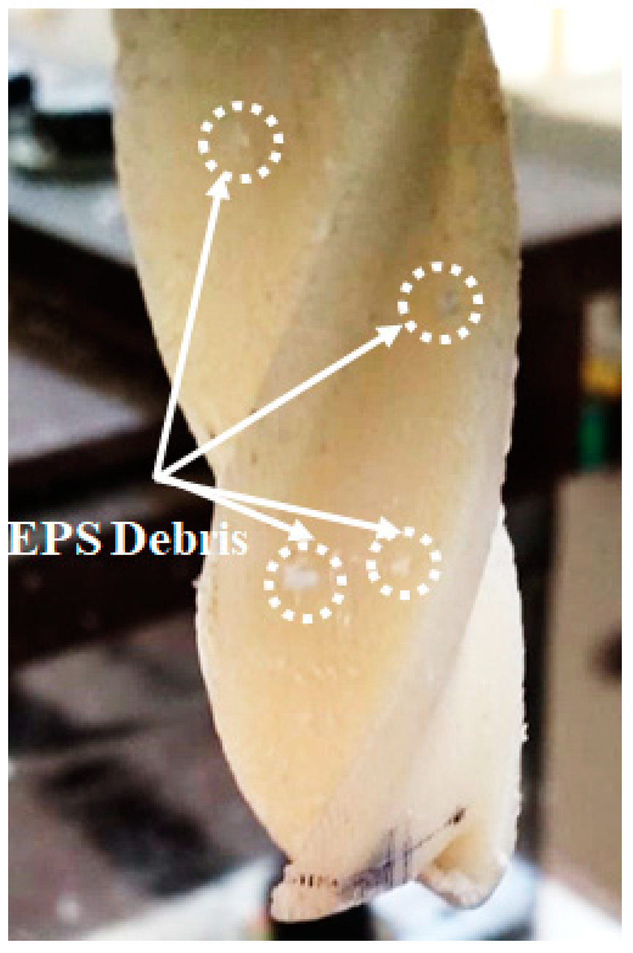 Materials 13 02729 g007 Materials 13 02729 g007