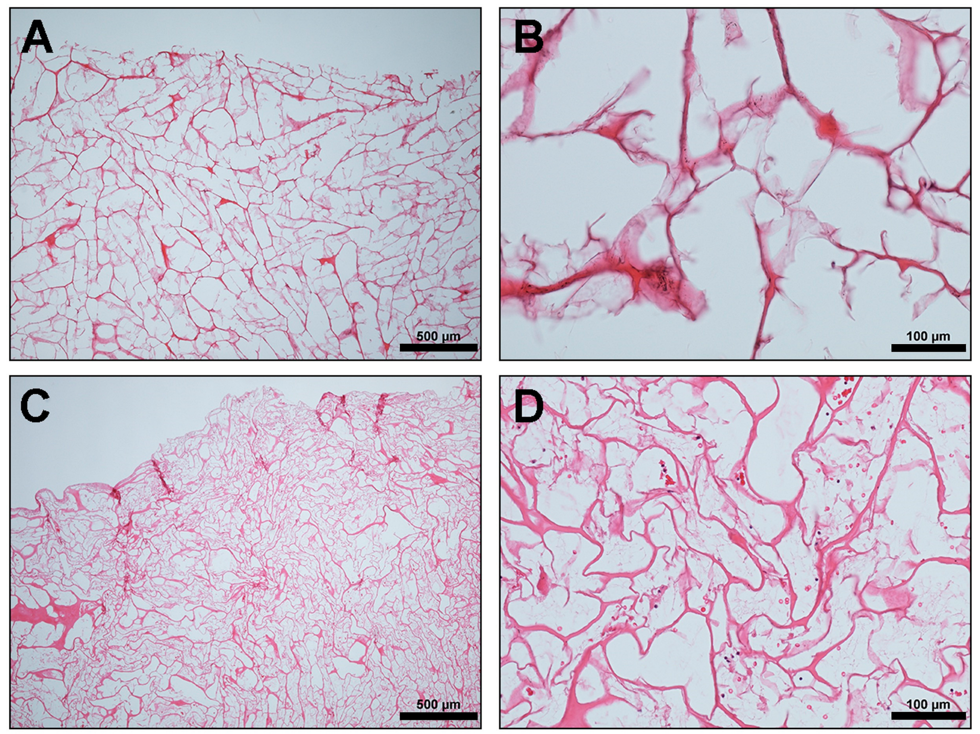 Materials 13 02730 g001