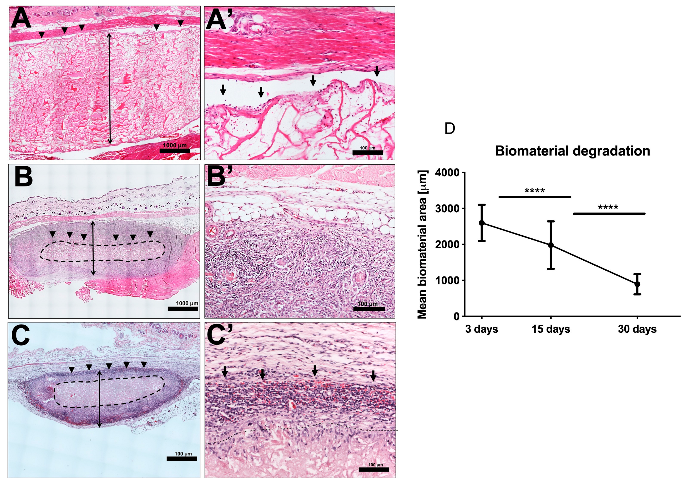 Materials 13 02730 g002