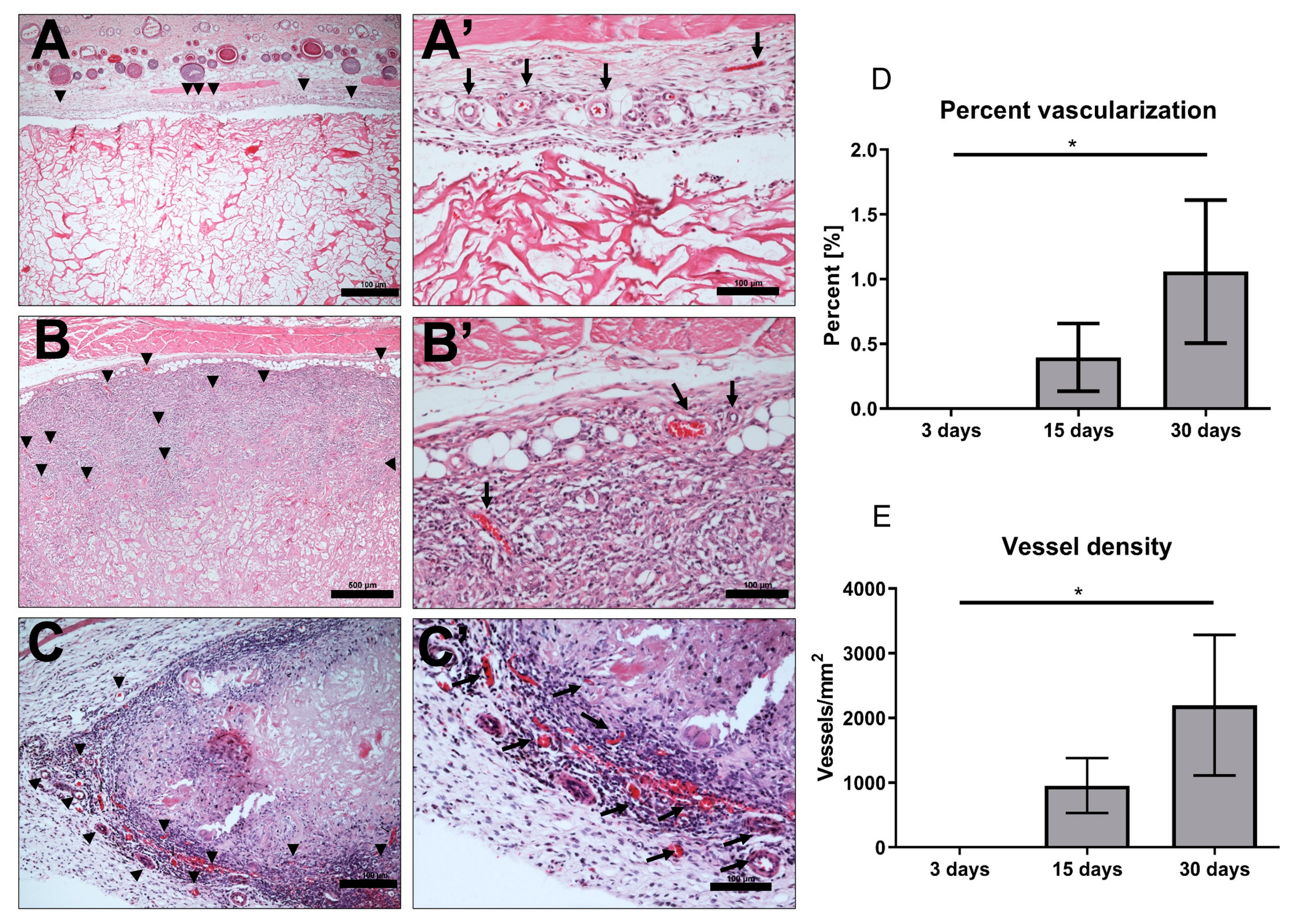 Materials 13 02730 g003
