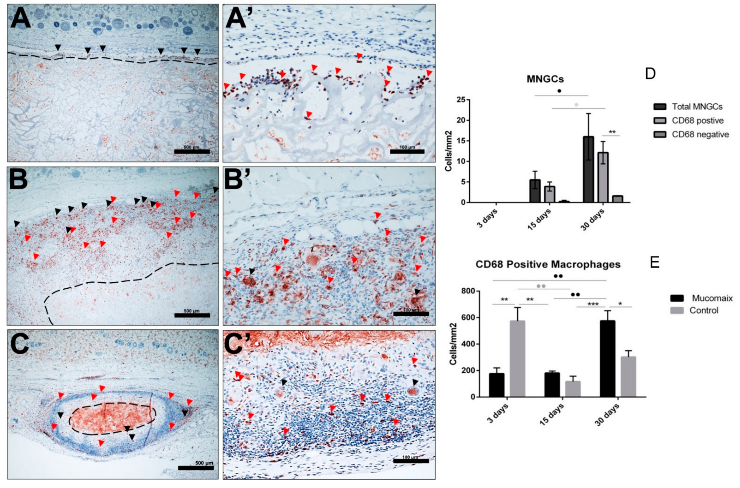 Materials 13 02730 g005