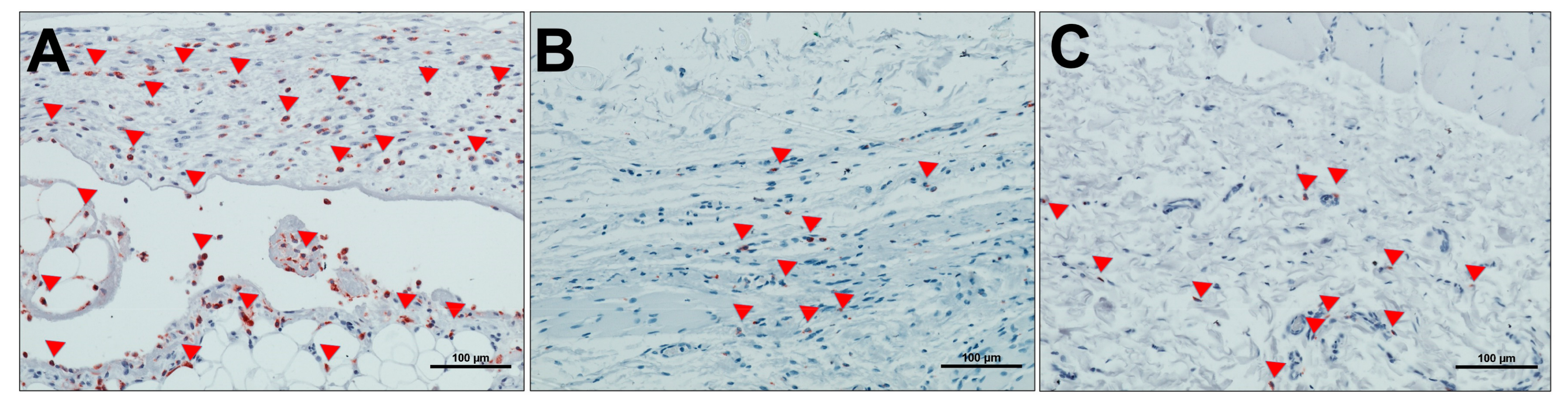 Materials 13 02730 g006