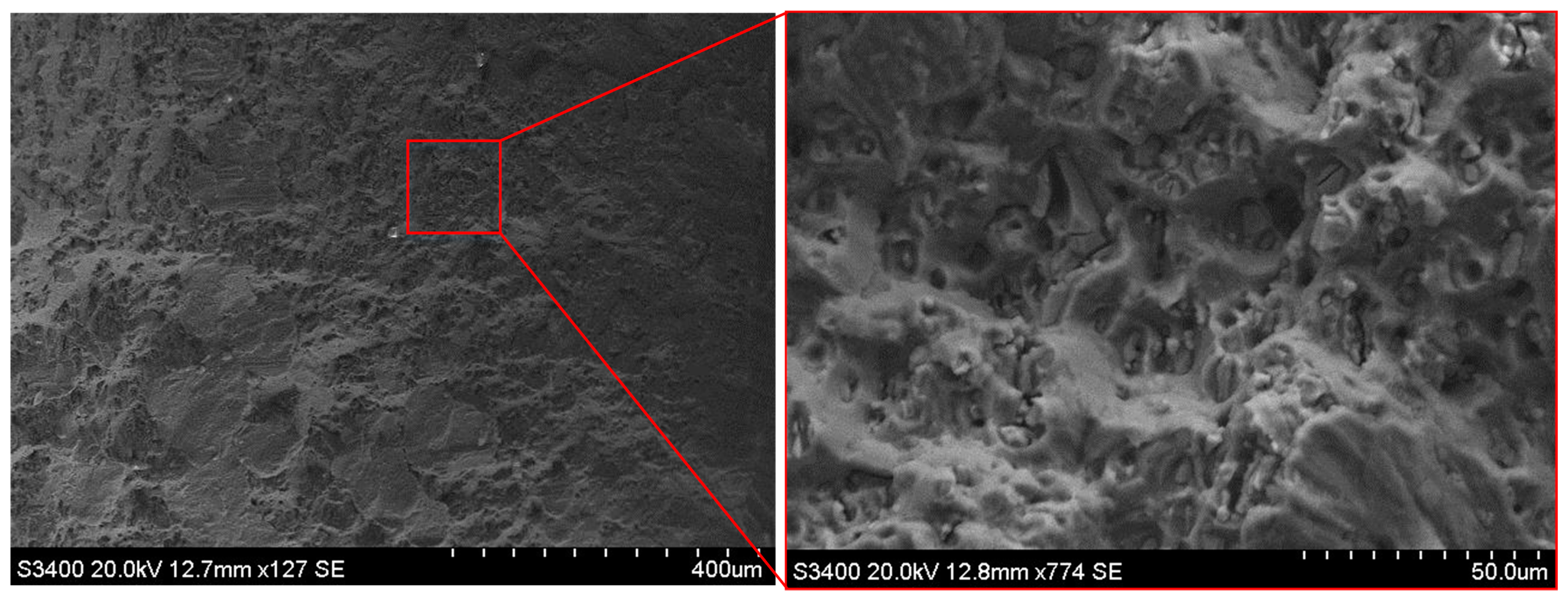 Materials 13 02740 g007