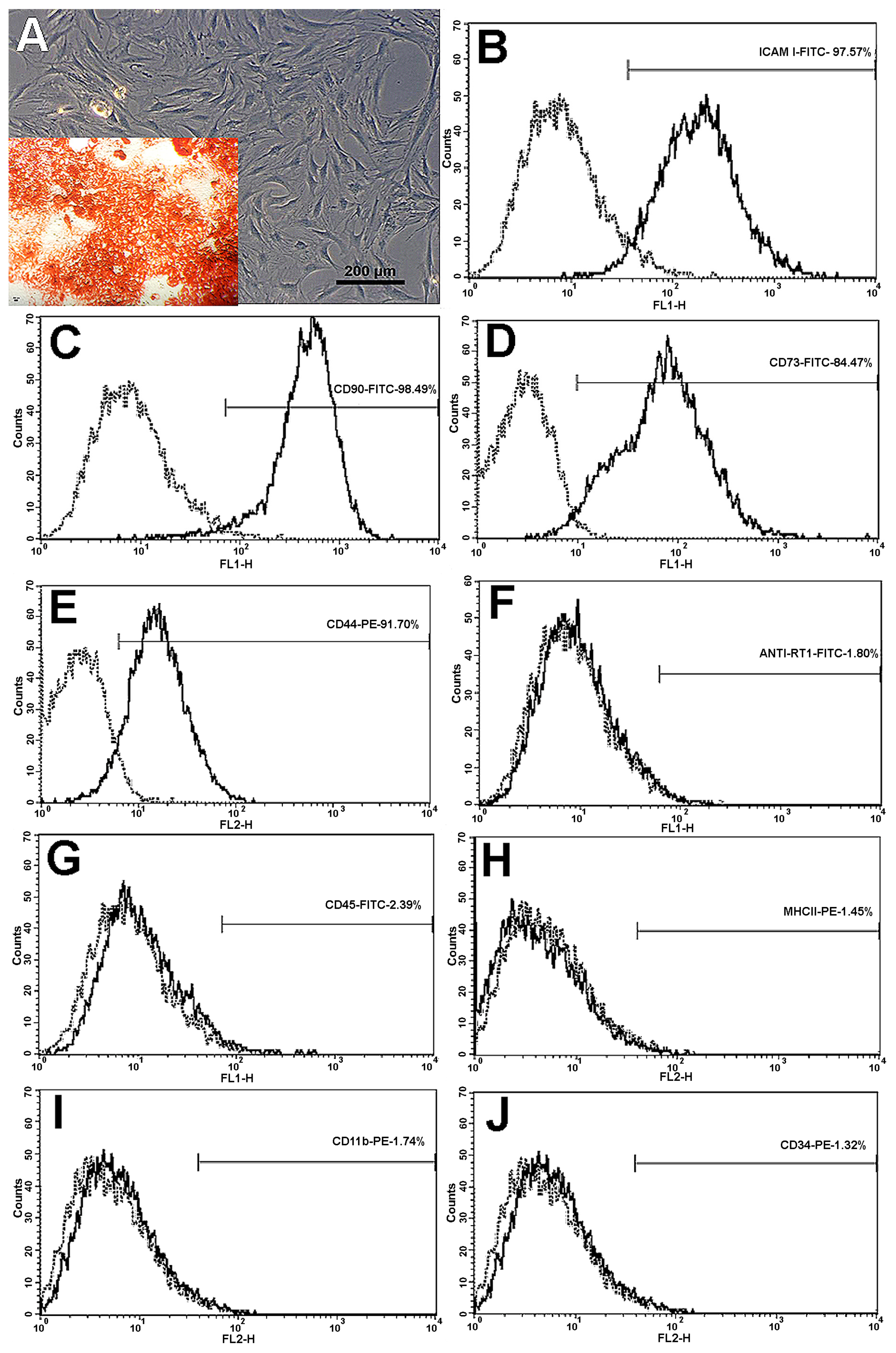 Materials 13 02747 g001 Materials 13 02747 g001