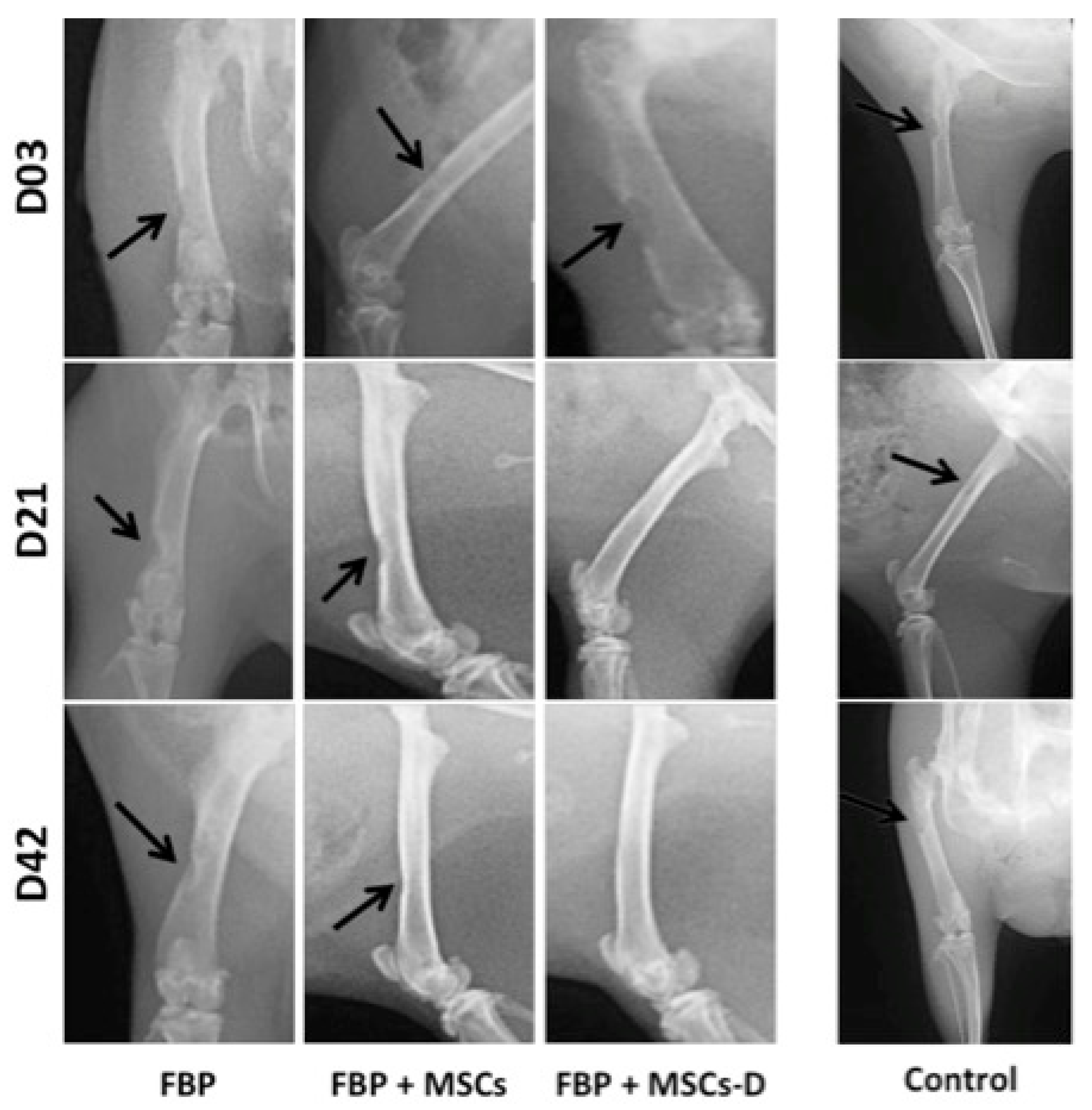 Materials 13 02747 g002 Materials 13 02747 g002