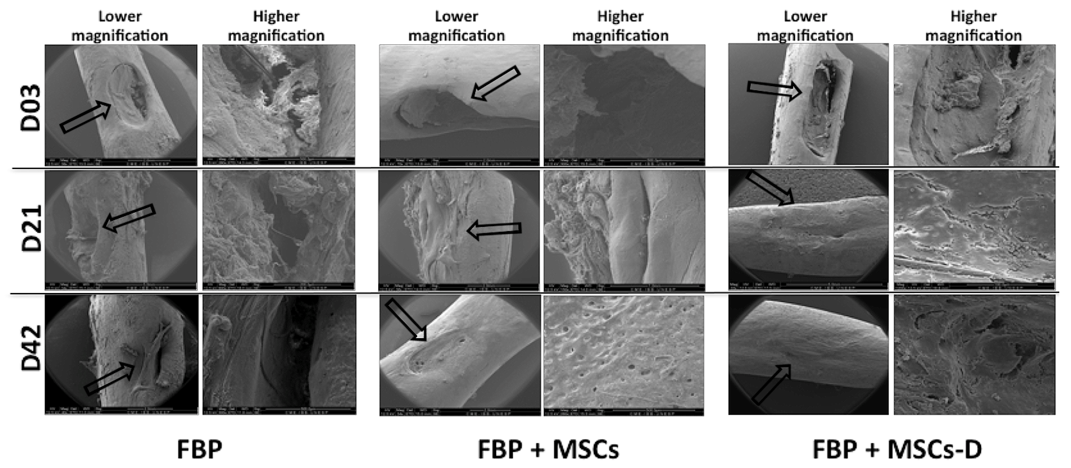 Materials 13 02747 g003 Materials 13 02747 g003