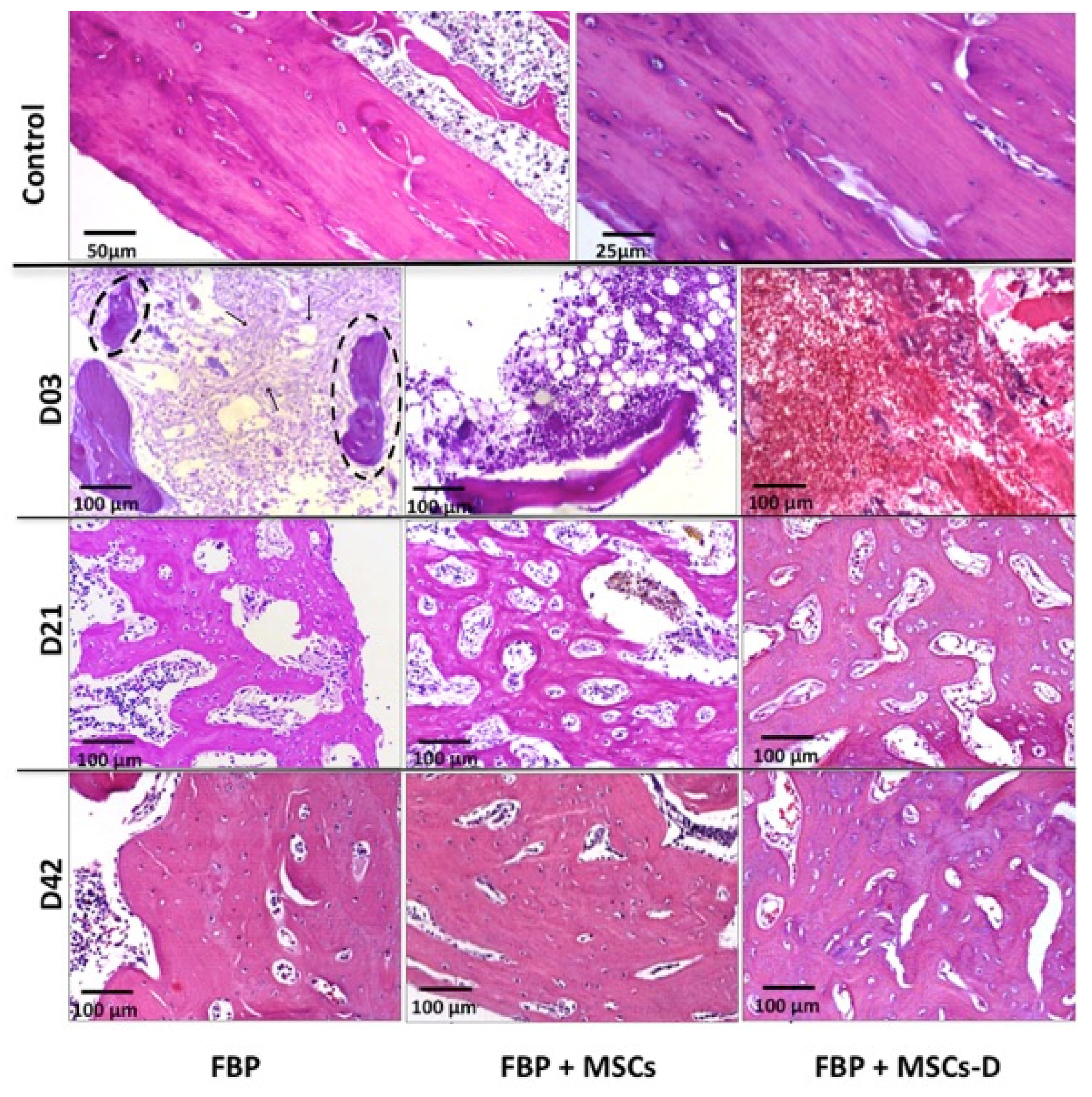 Materials 13 02747 g004 Materials 13 02747 g004