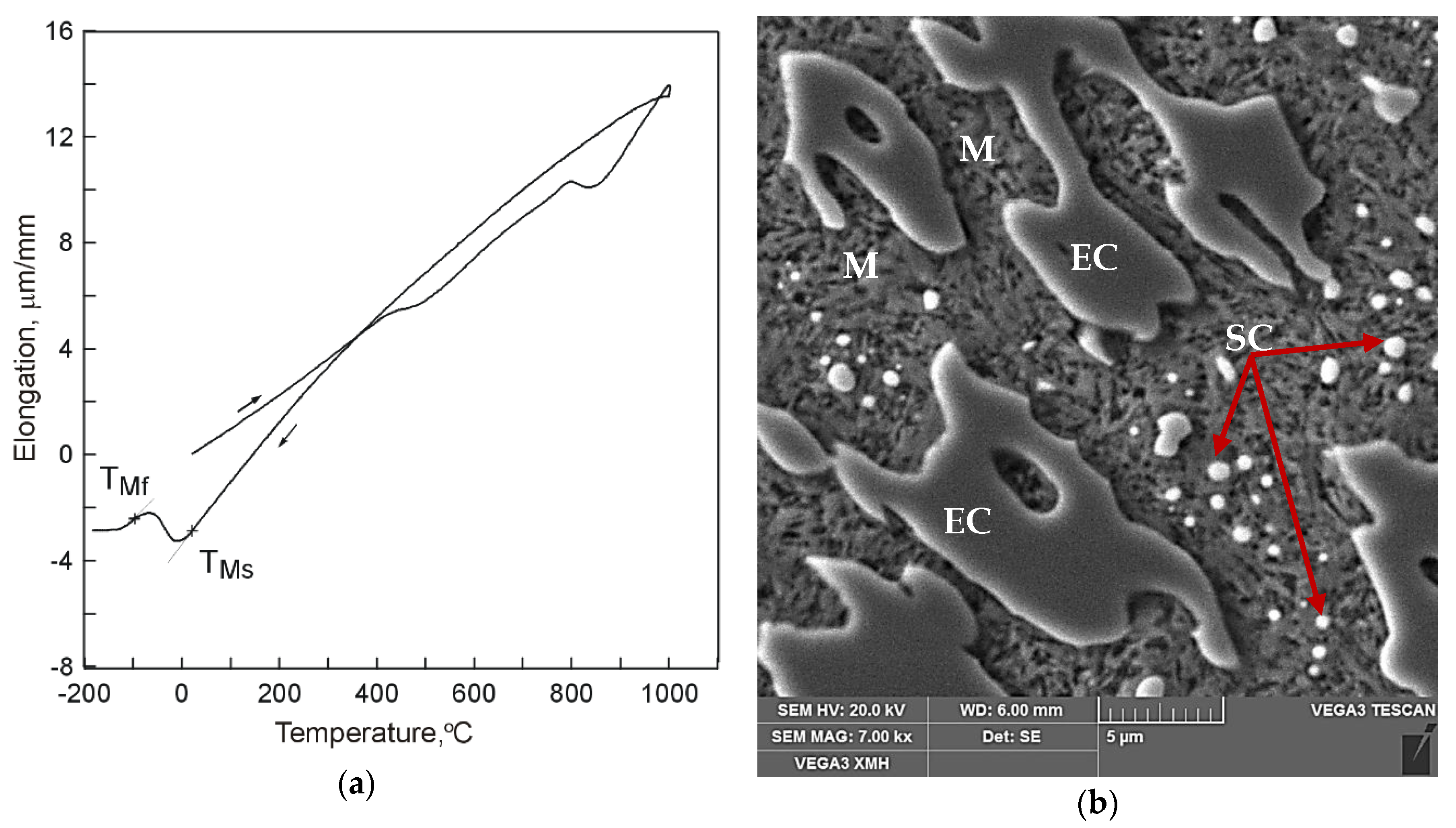 Materials 13 02760 g004