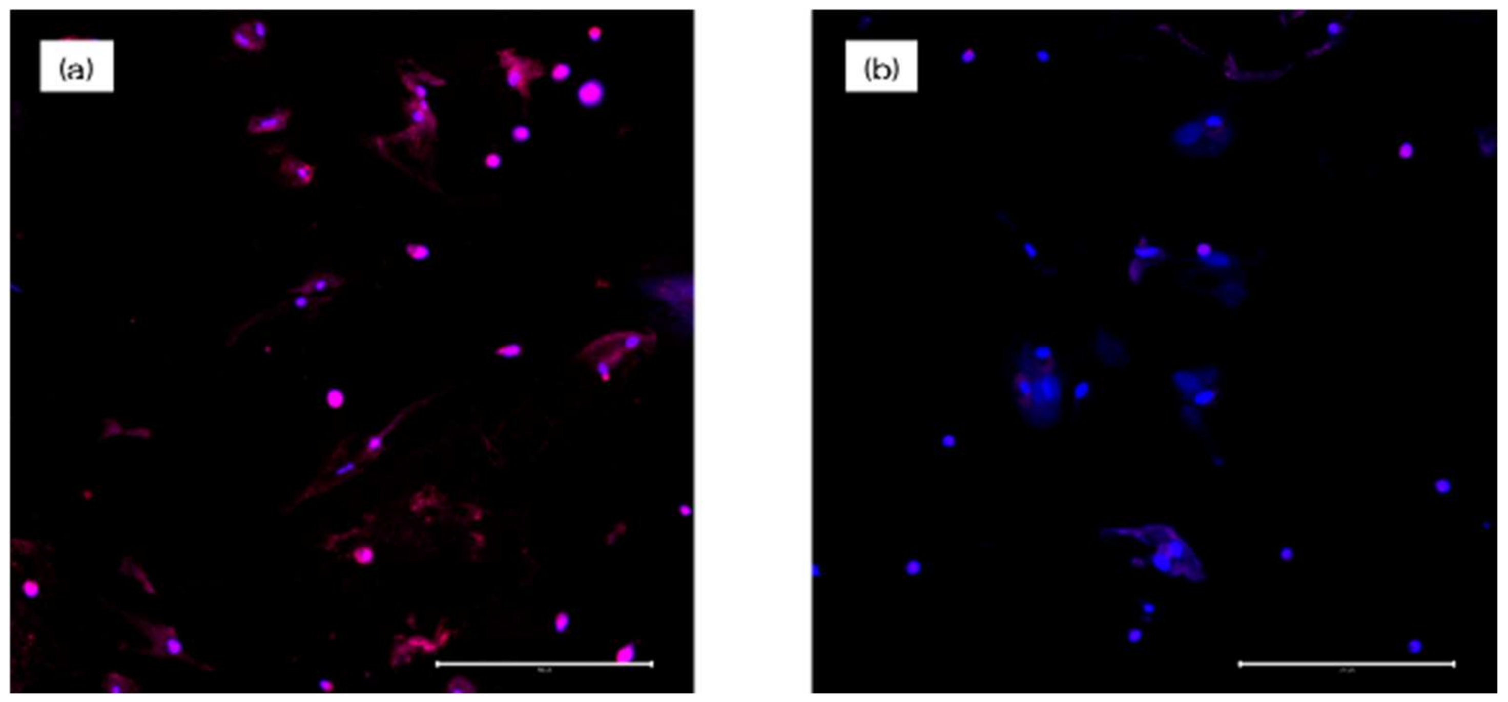 Materials 13 02772 g009 Materials 13 02772 g009