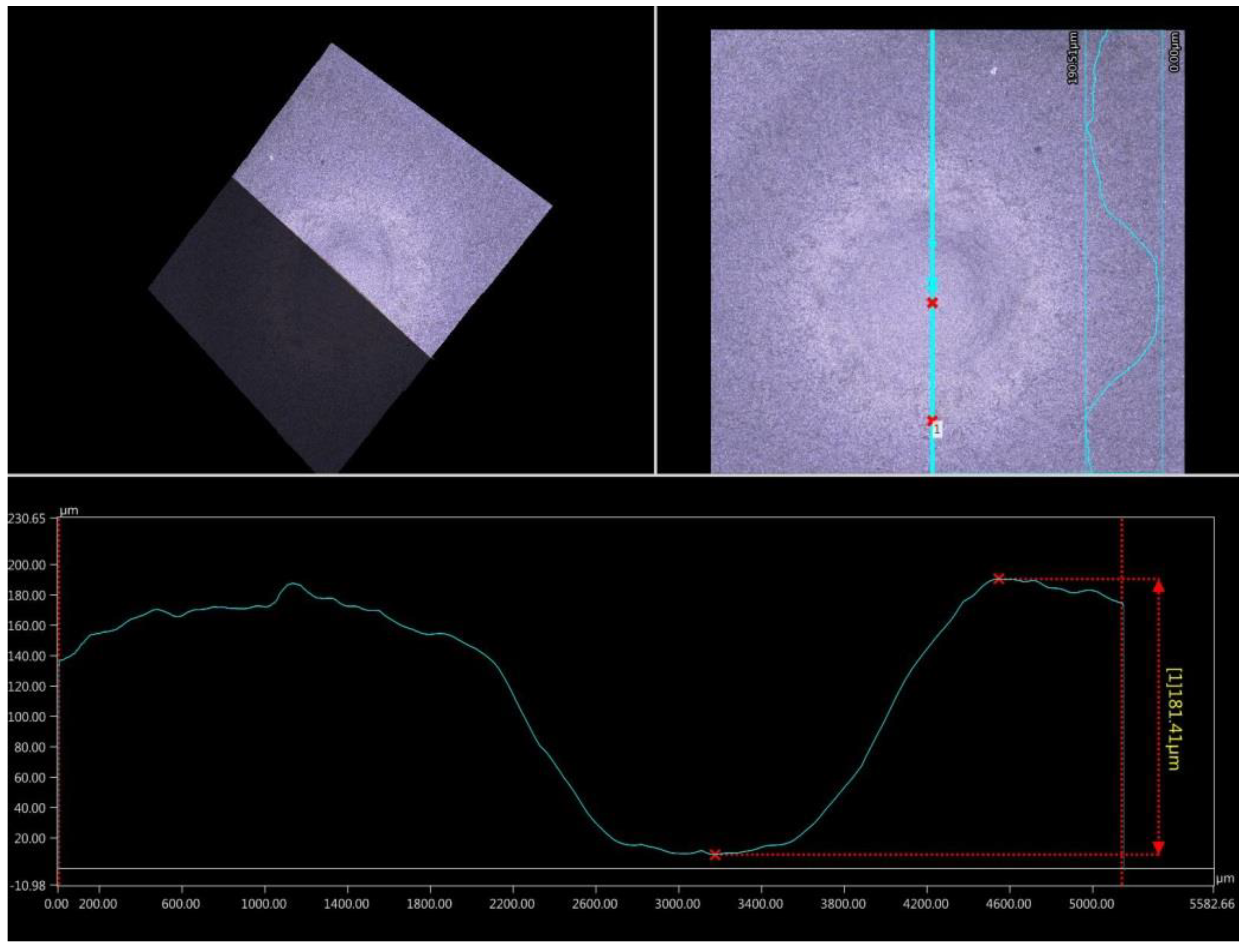 Materials 13 02775 g009