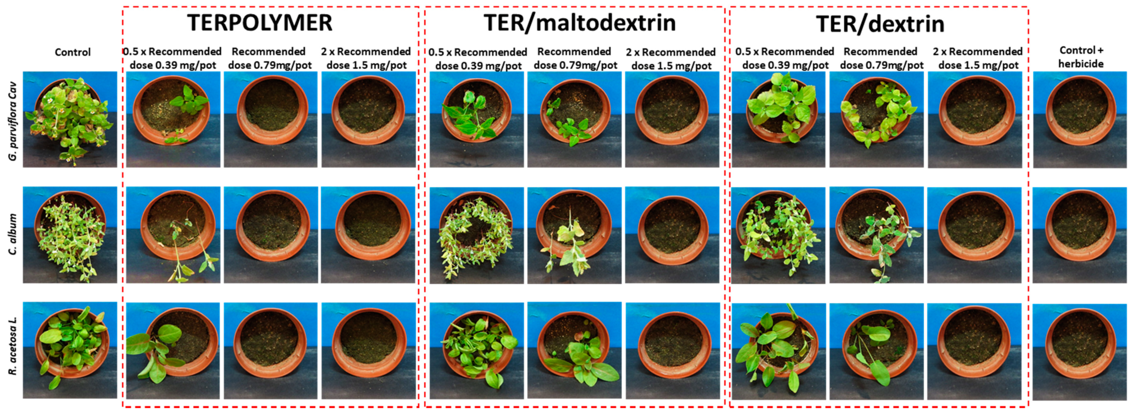 Materials 13 02778 g008