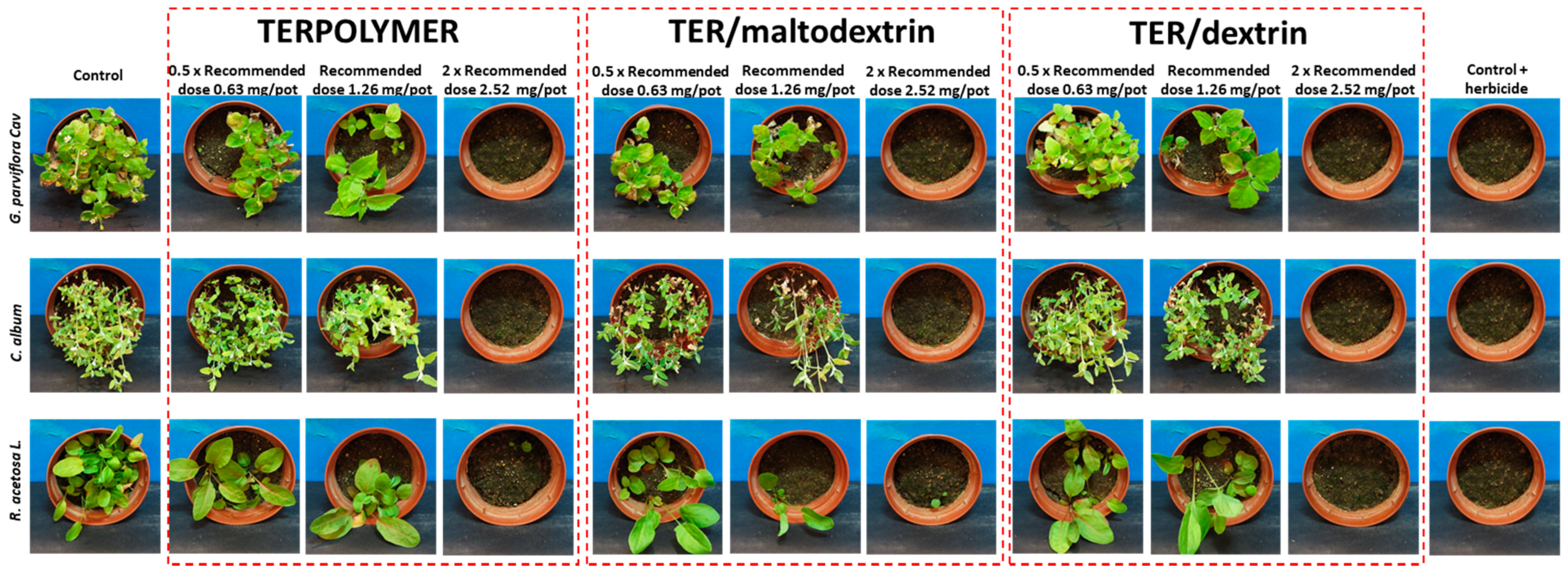 Materials 13 02778 g009