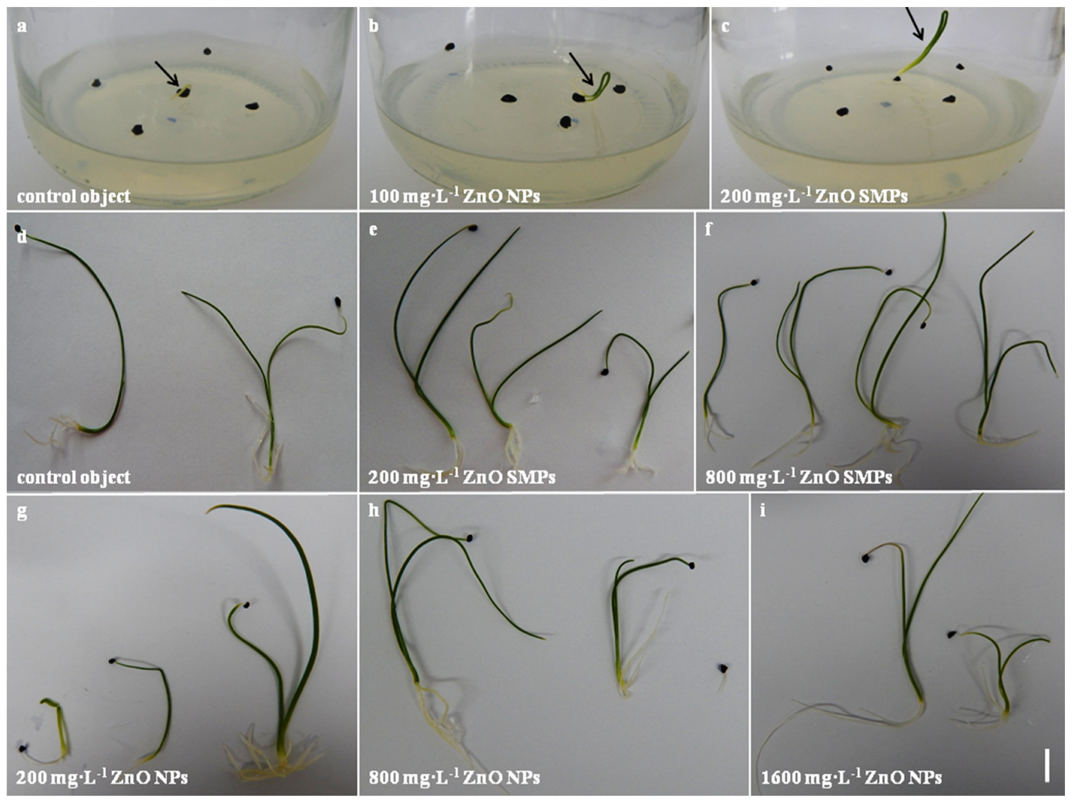 Materials 13 02784 g006 Materials 13 02784 g006