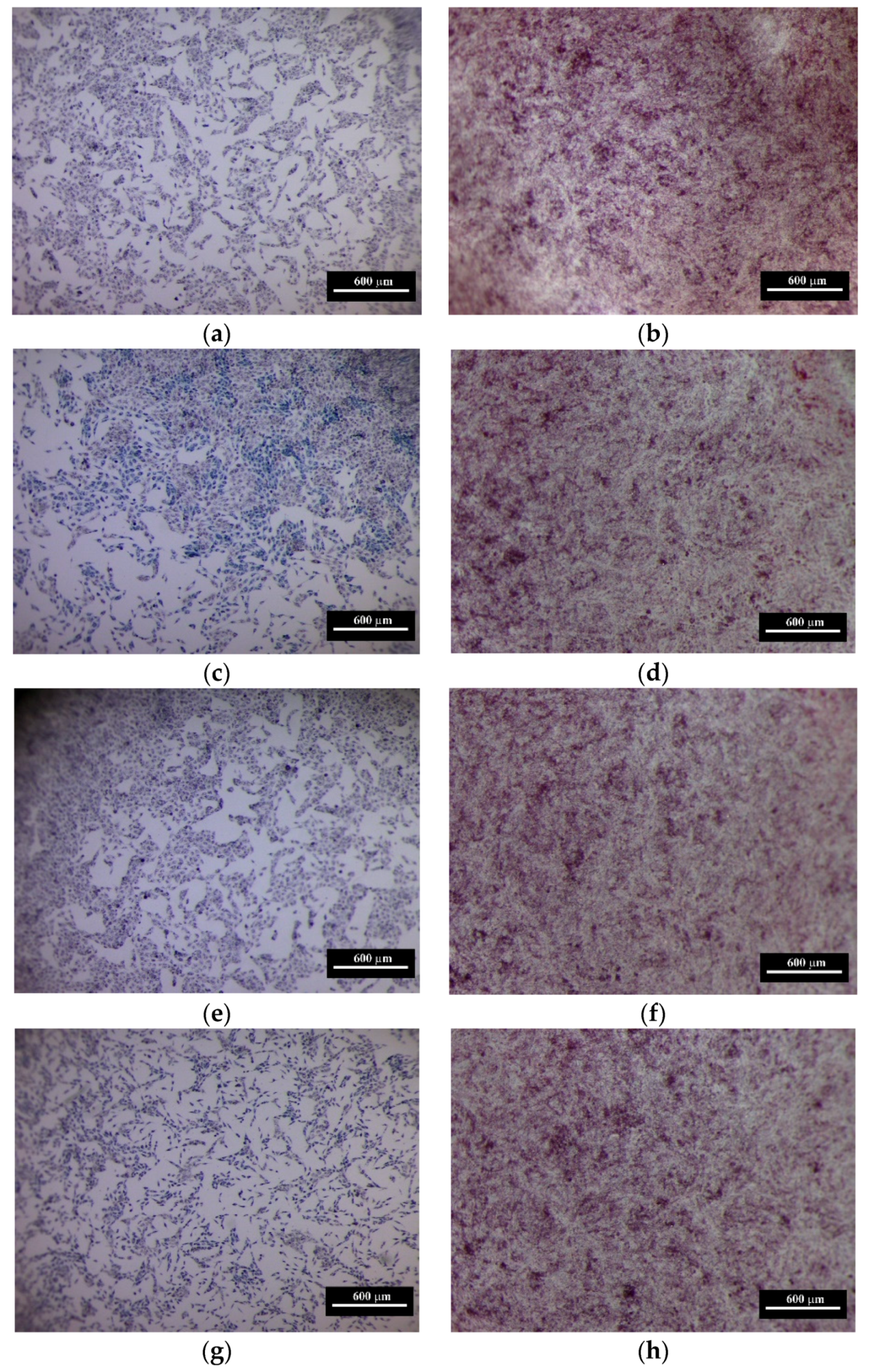 Materials 13 02789 g012a