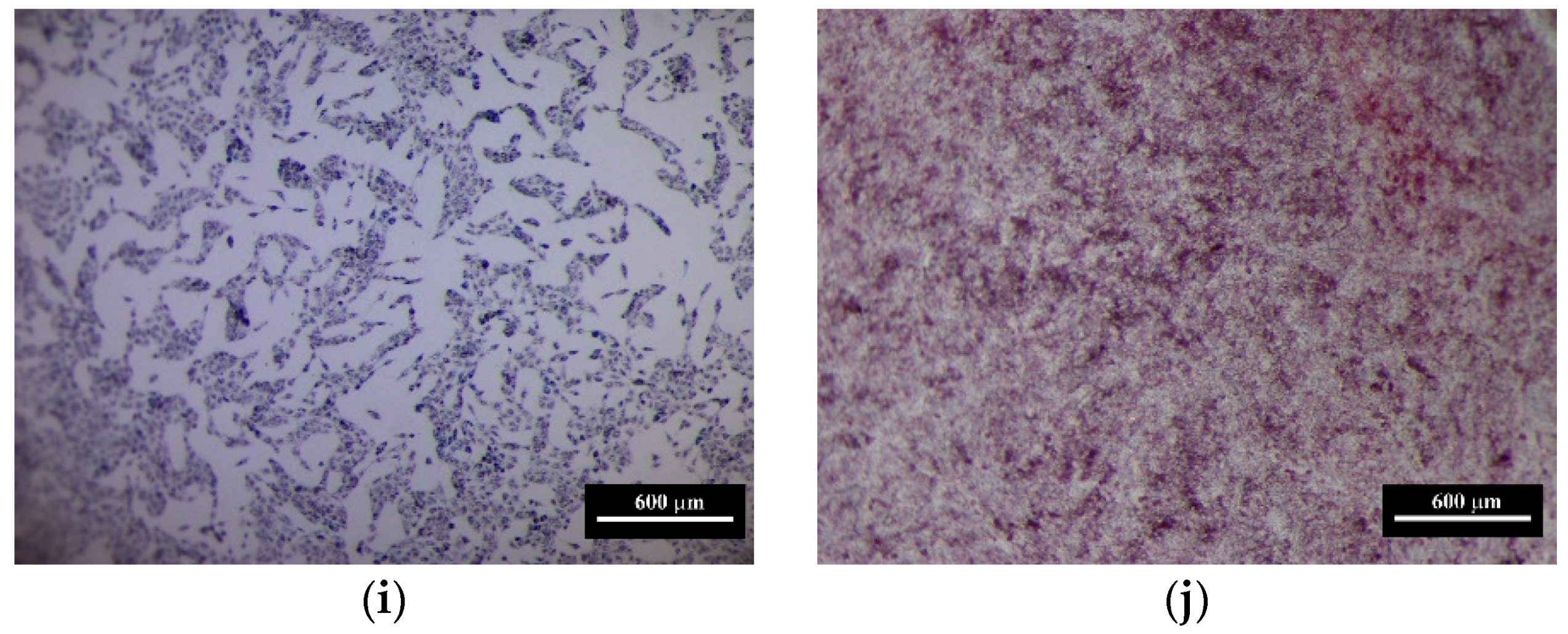 Materials 13 02789 g012b