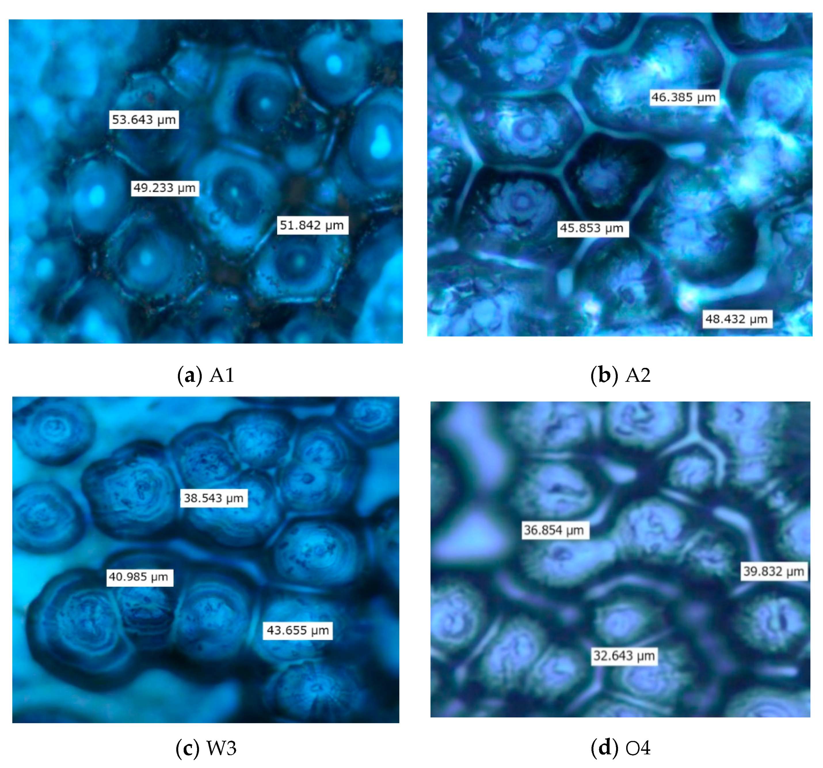 Materials 13 02791 g001 Materials 13 02791 g001