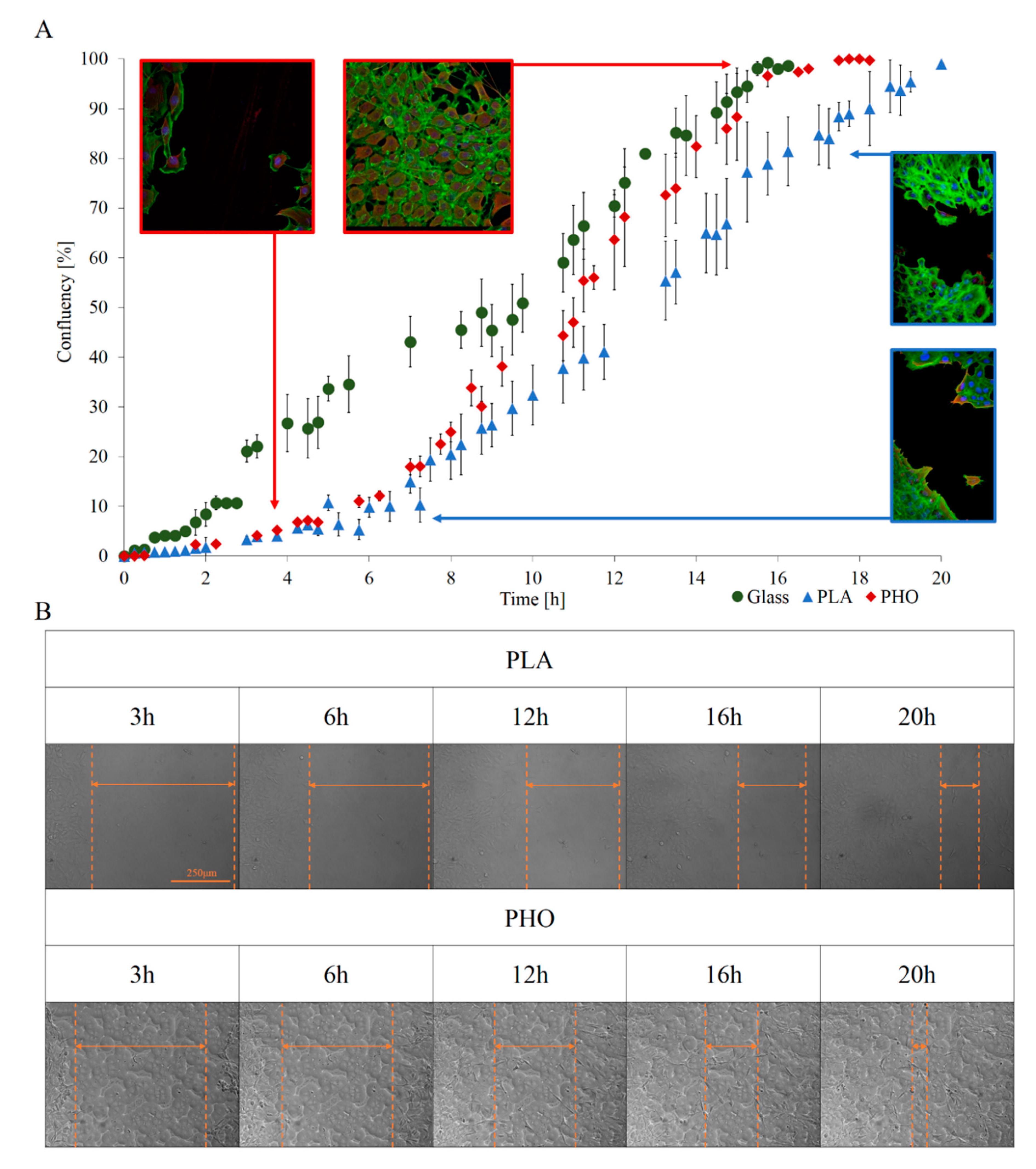 Materials 13 02793 g003