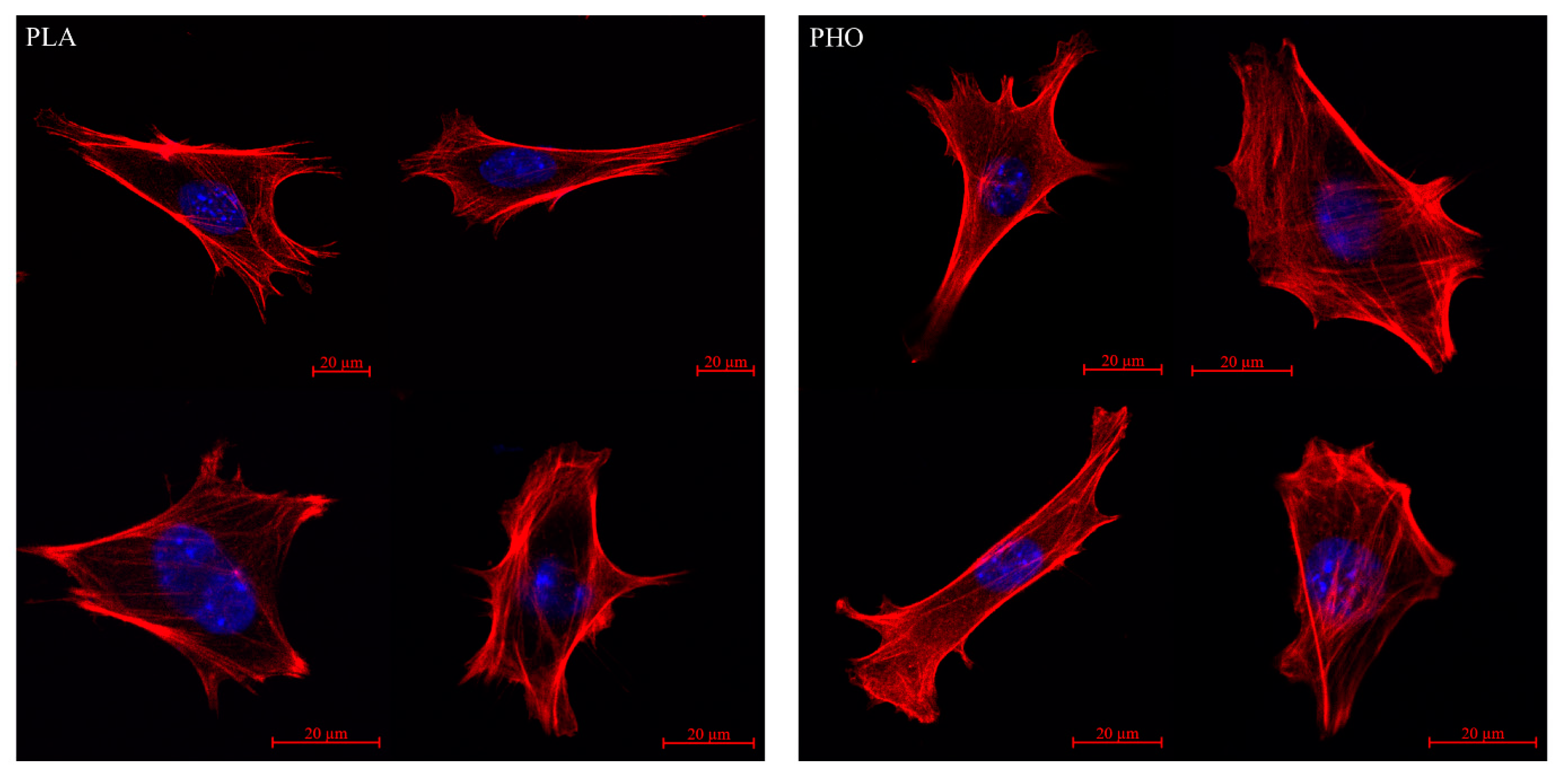 Materials 13 02793 g004