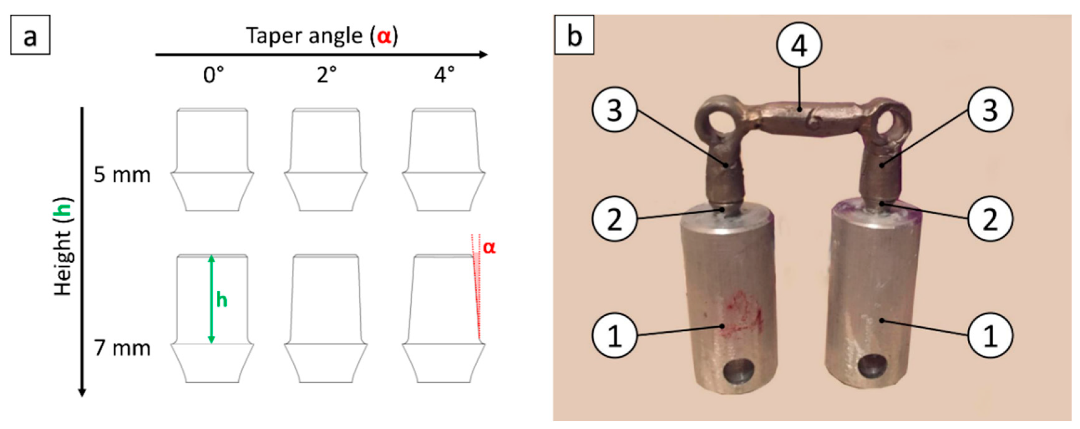 Materials 13 02797 g001 Materials 13 02797 g001