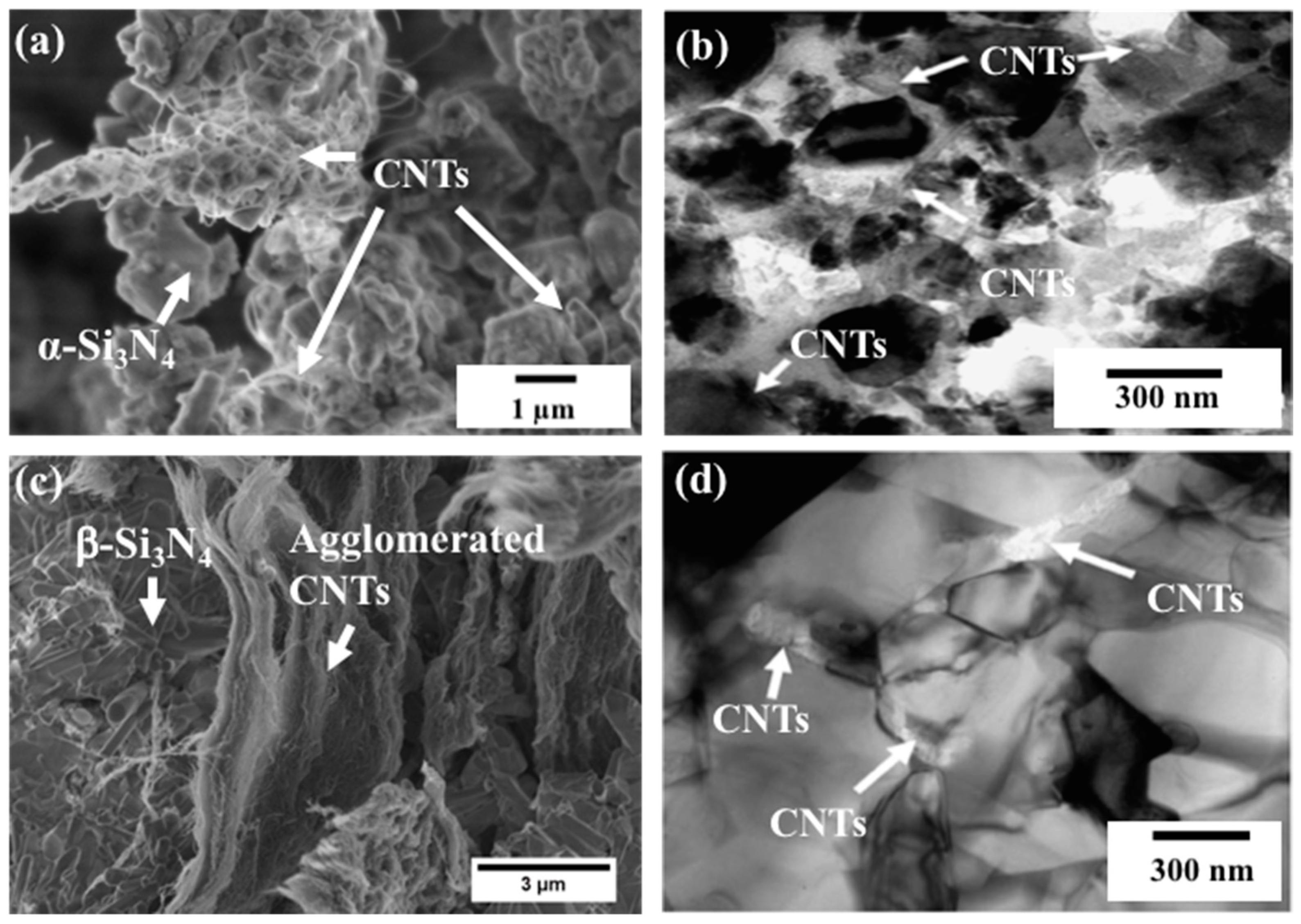 Materials 13 02799 g005 Materials 13 02799 g005