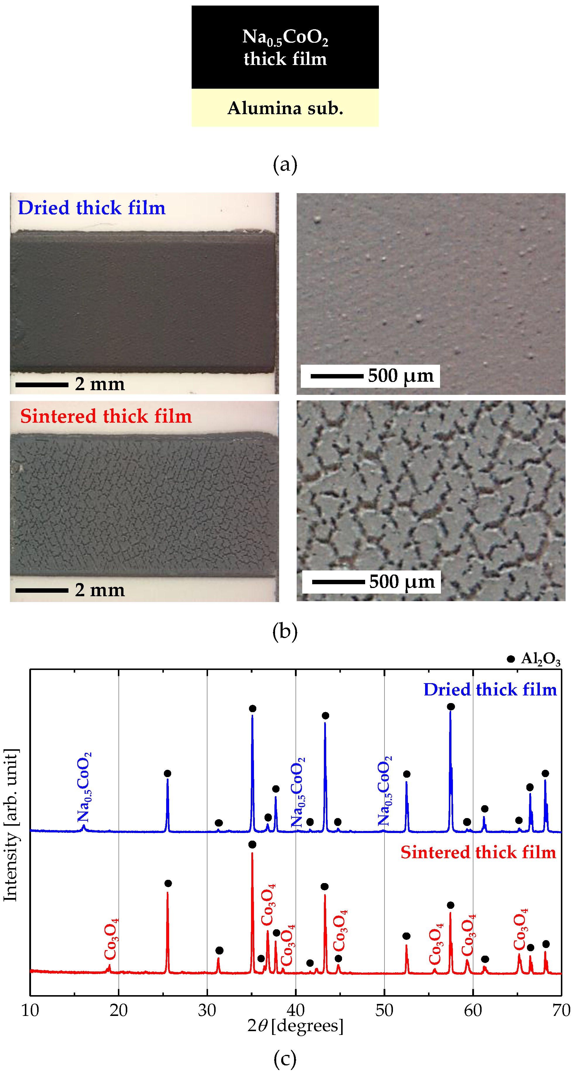 Materials 13 02805 g001