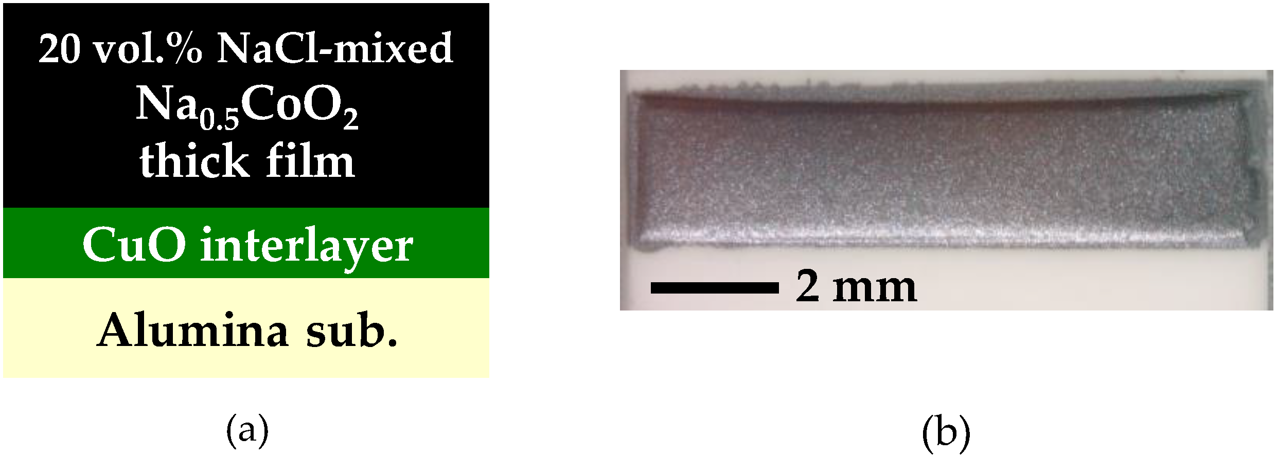 Materials 13 02805 g002